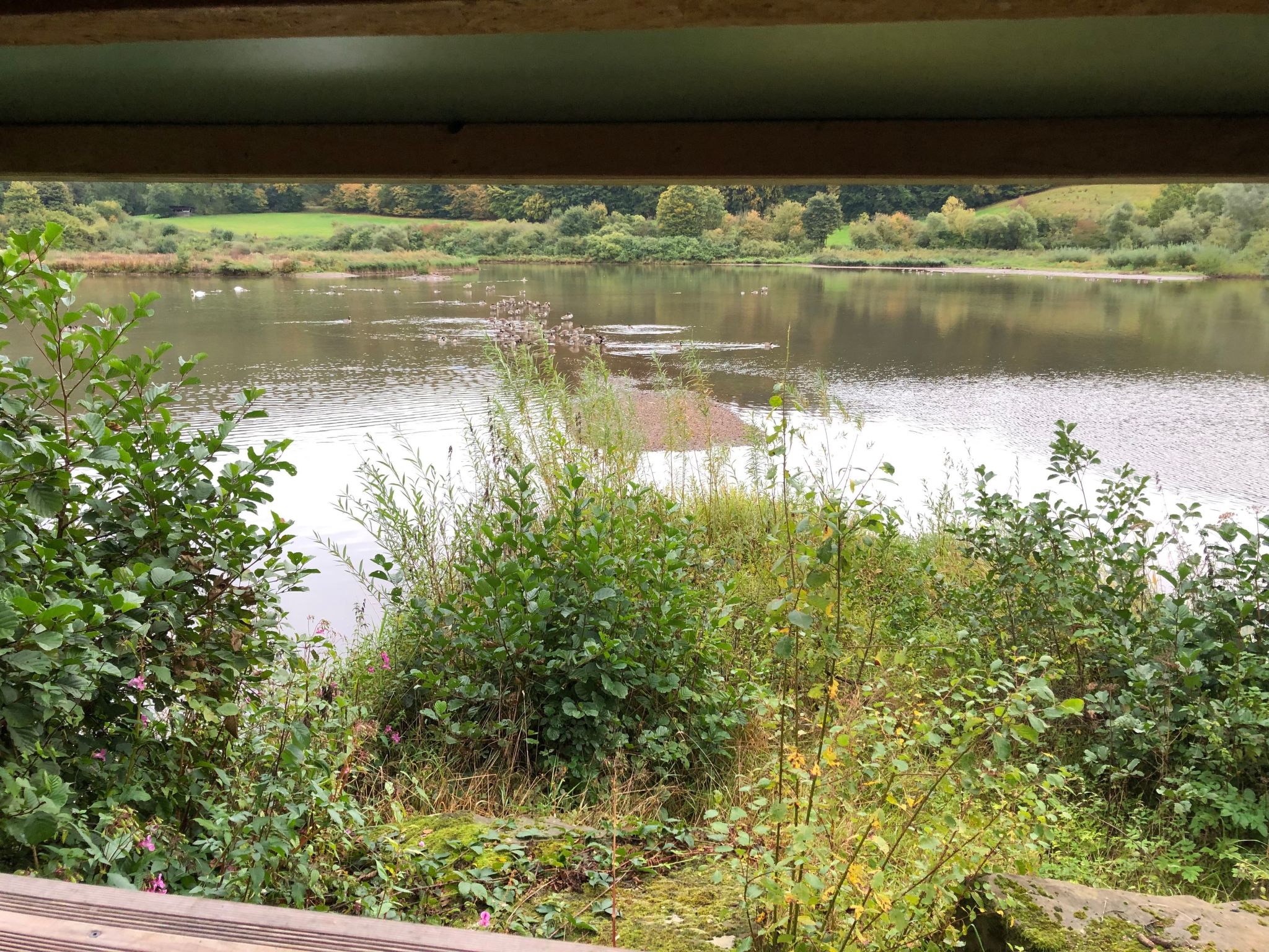 Wunderschönes Ferienhaus am Waldrand-Binnen