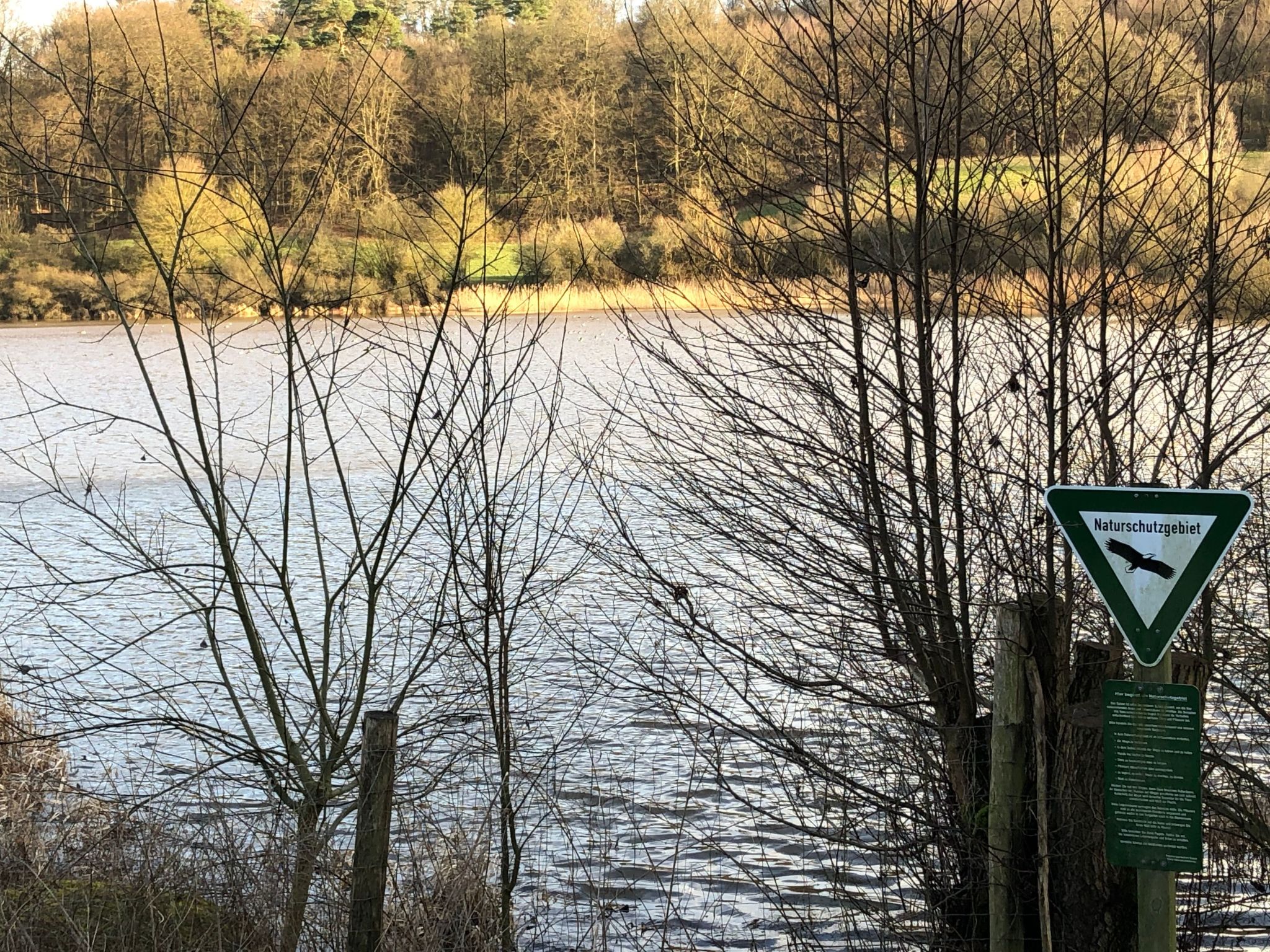 Wunderschönes Ferienhaus am Waldrand-Binnen