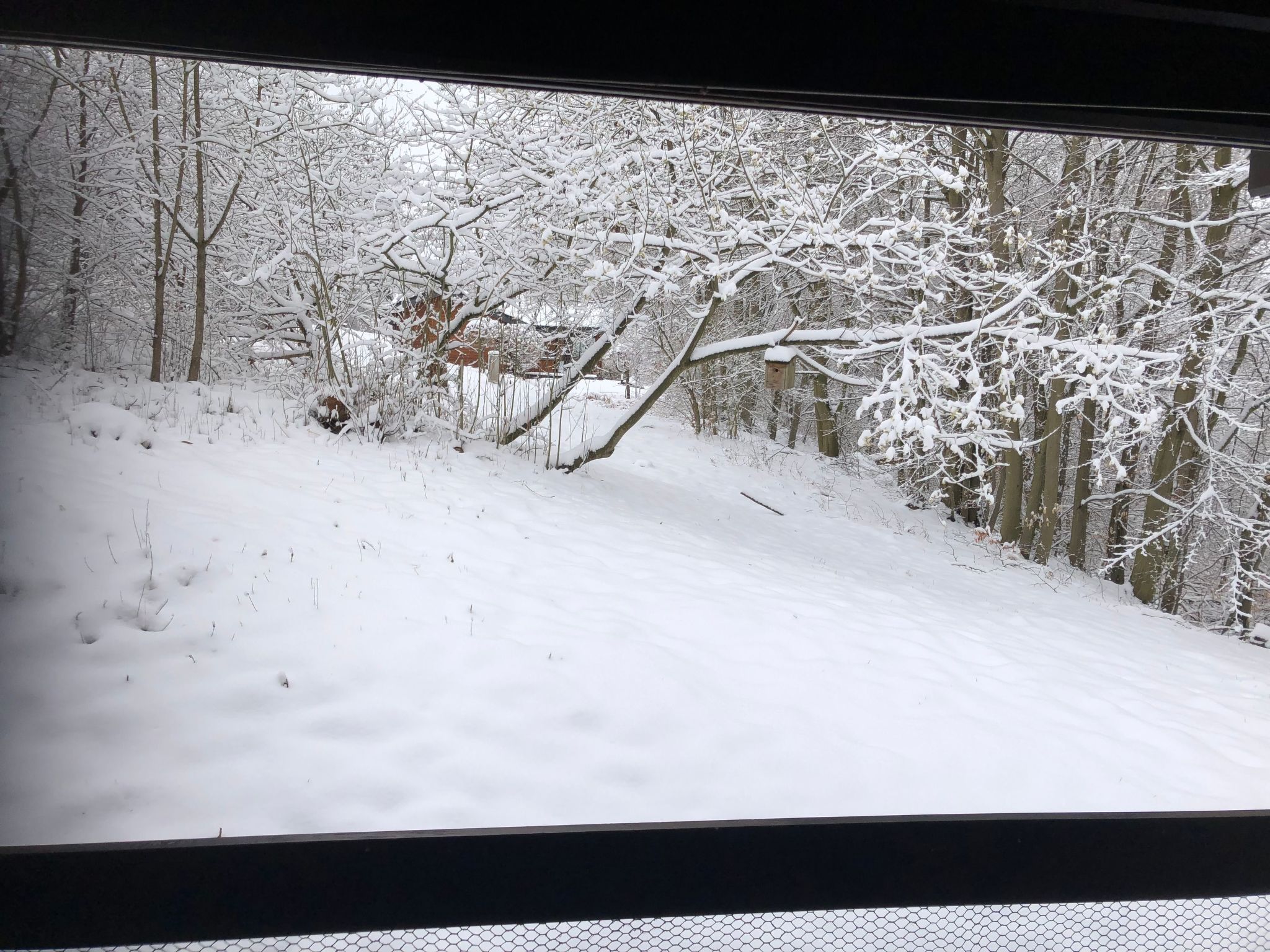 Wunderschönes Ferienhaus am Waldrand-Binnen