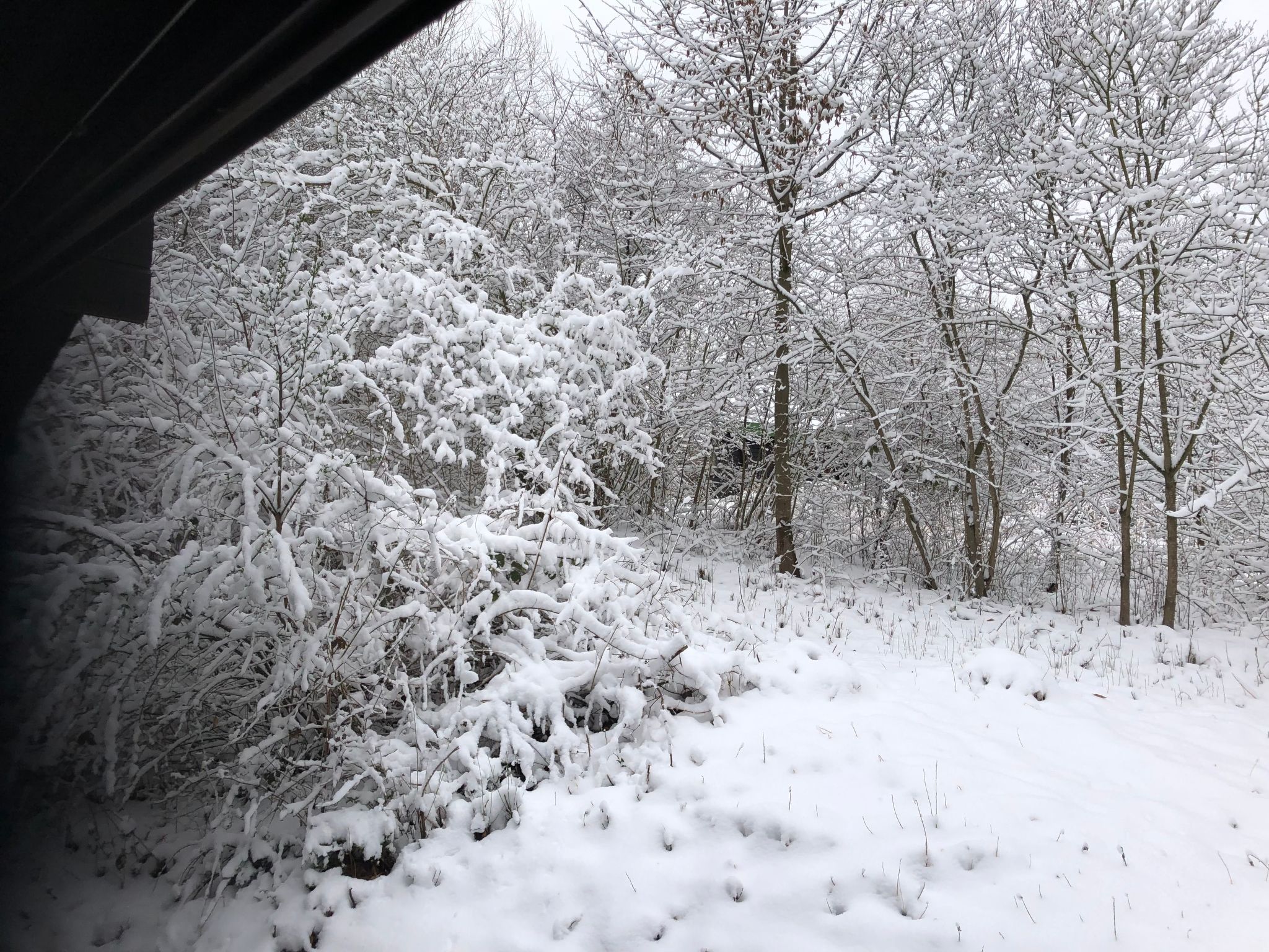 Wunderschönes Ferienhaus am Waldrand-Binnen