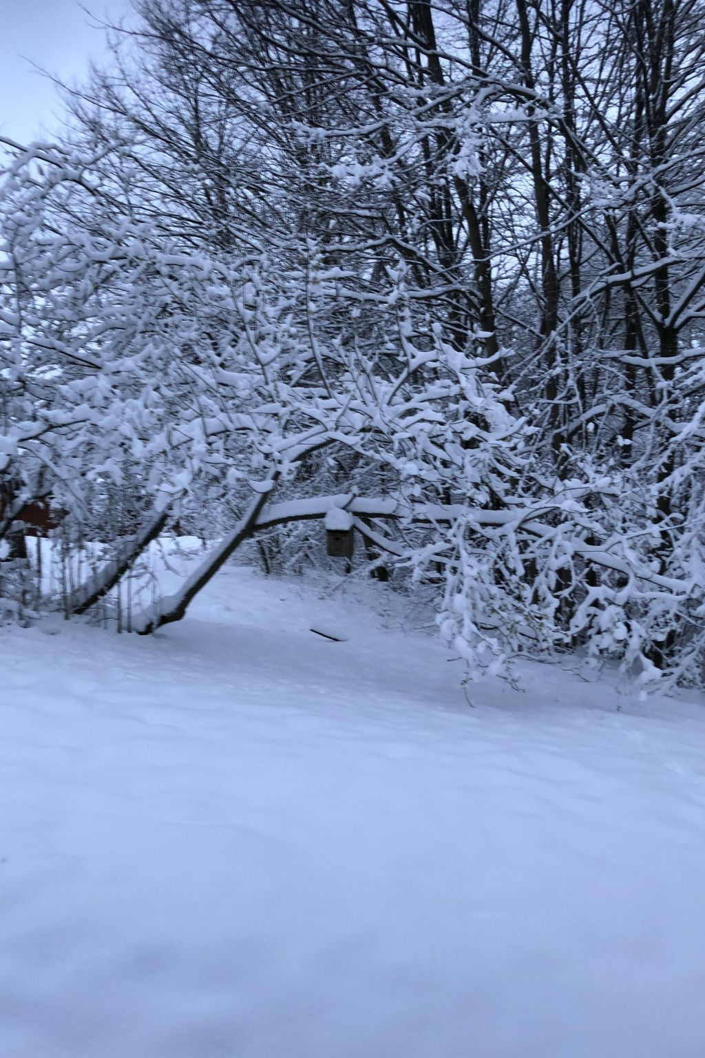 Wunderschönes Ferienhaus am Waldrand-Binnen