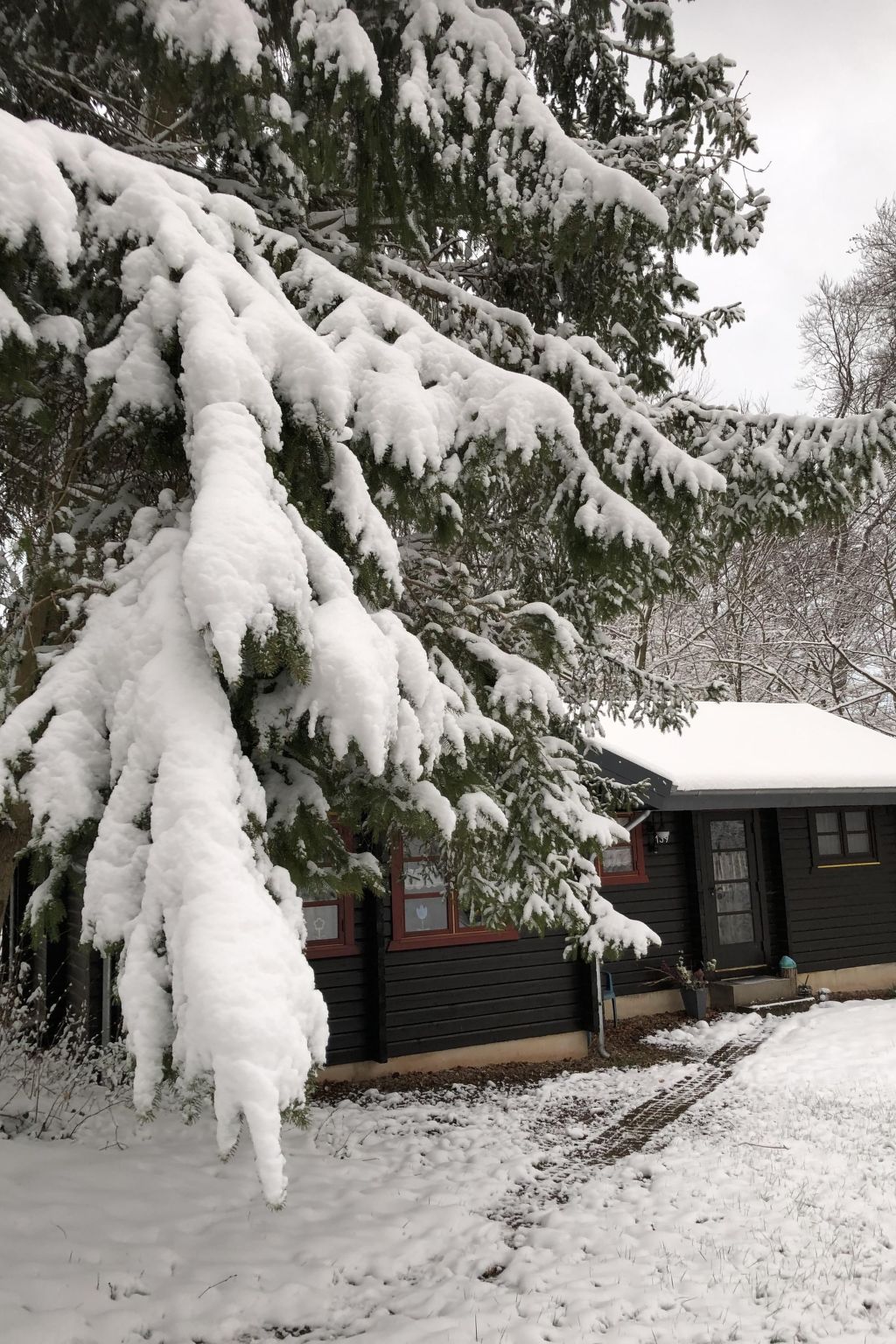 Wunderschönes Ferienhaus am Waldrand-Binnen