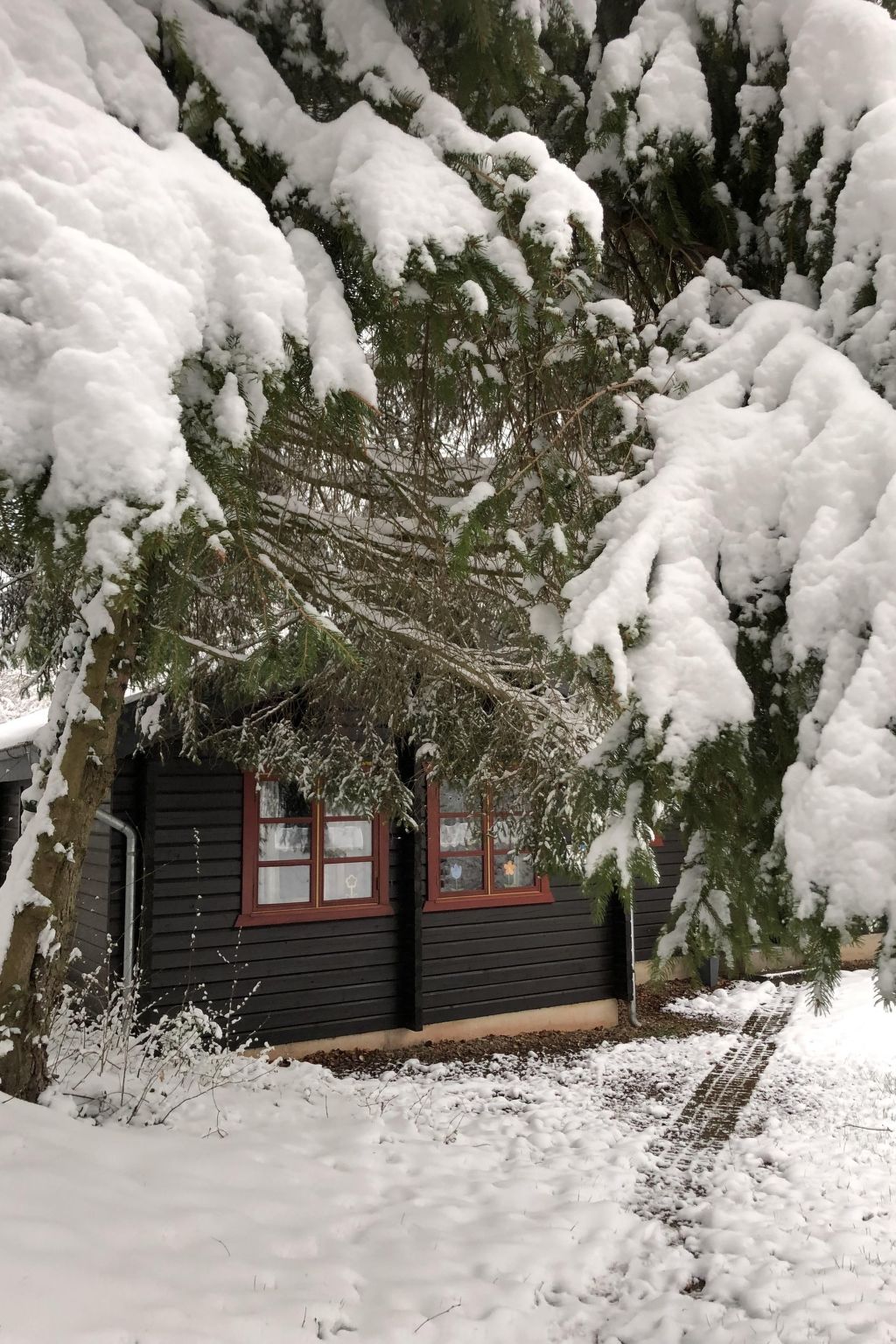 Wunderschönes Ferienhaus am Waldrand-Binnen