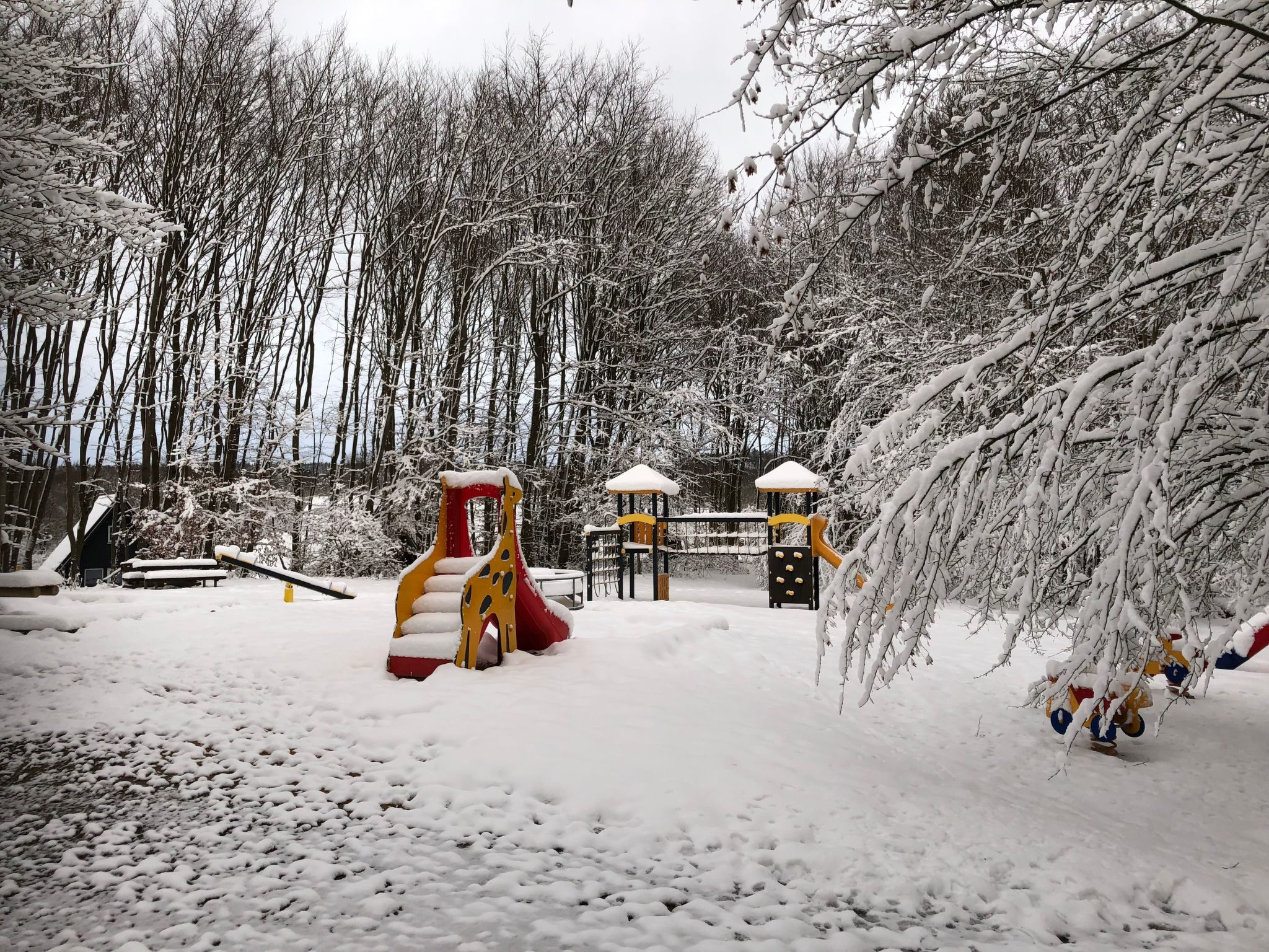 Wunderschönes Ferienhaus am Waldrand-Binnen
