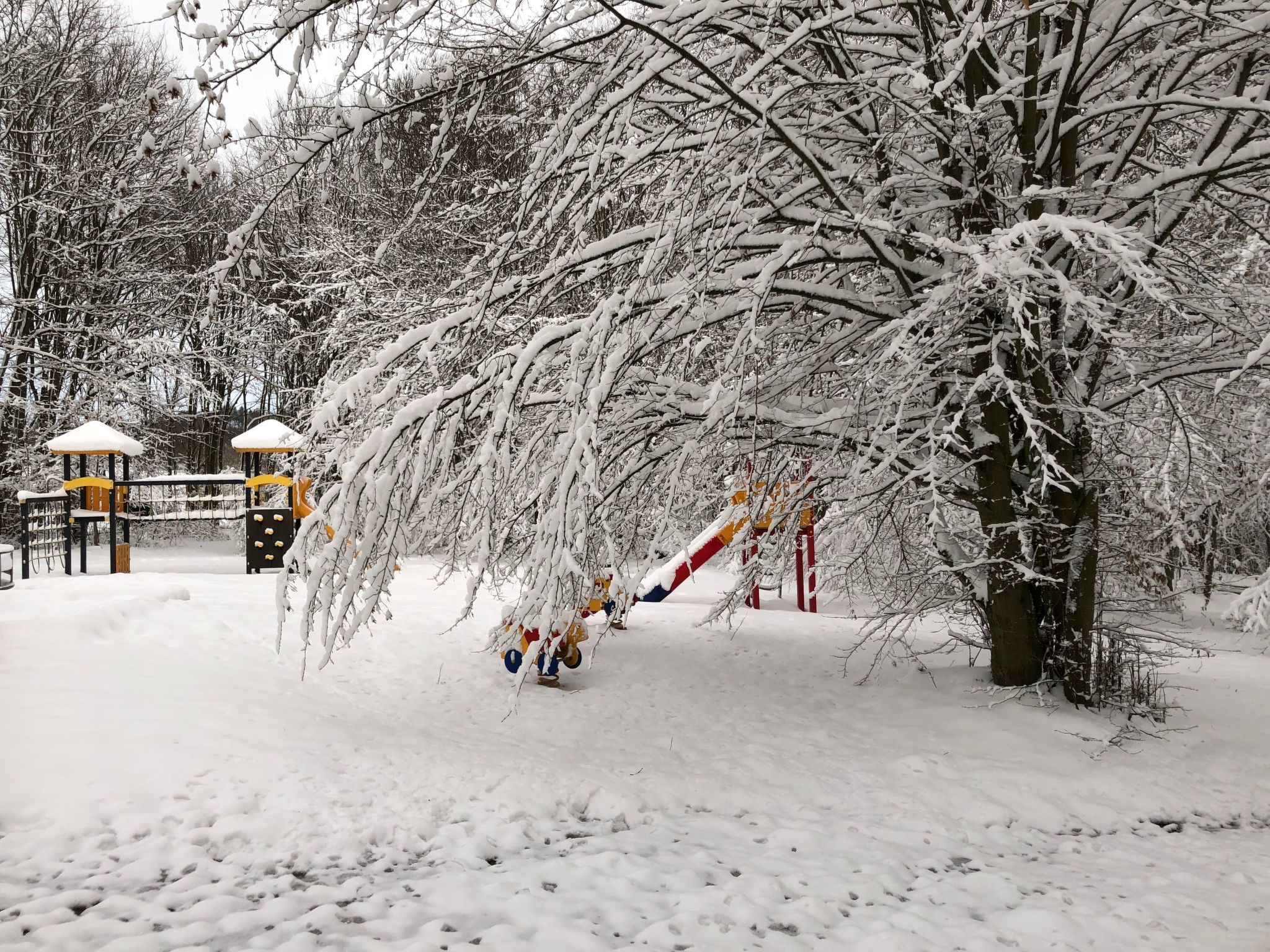 Wunderschönes Ferienhaus am Waldrand-Binnen