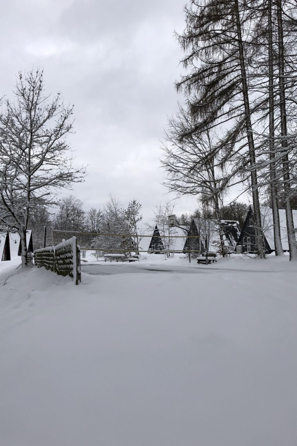Wunderschönes Ferienhaus am Waldrand-Binnen