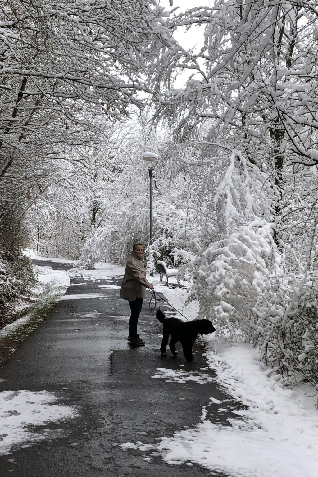 Wunderschönes Ferienhaus am Waldrand-Binnen