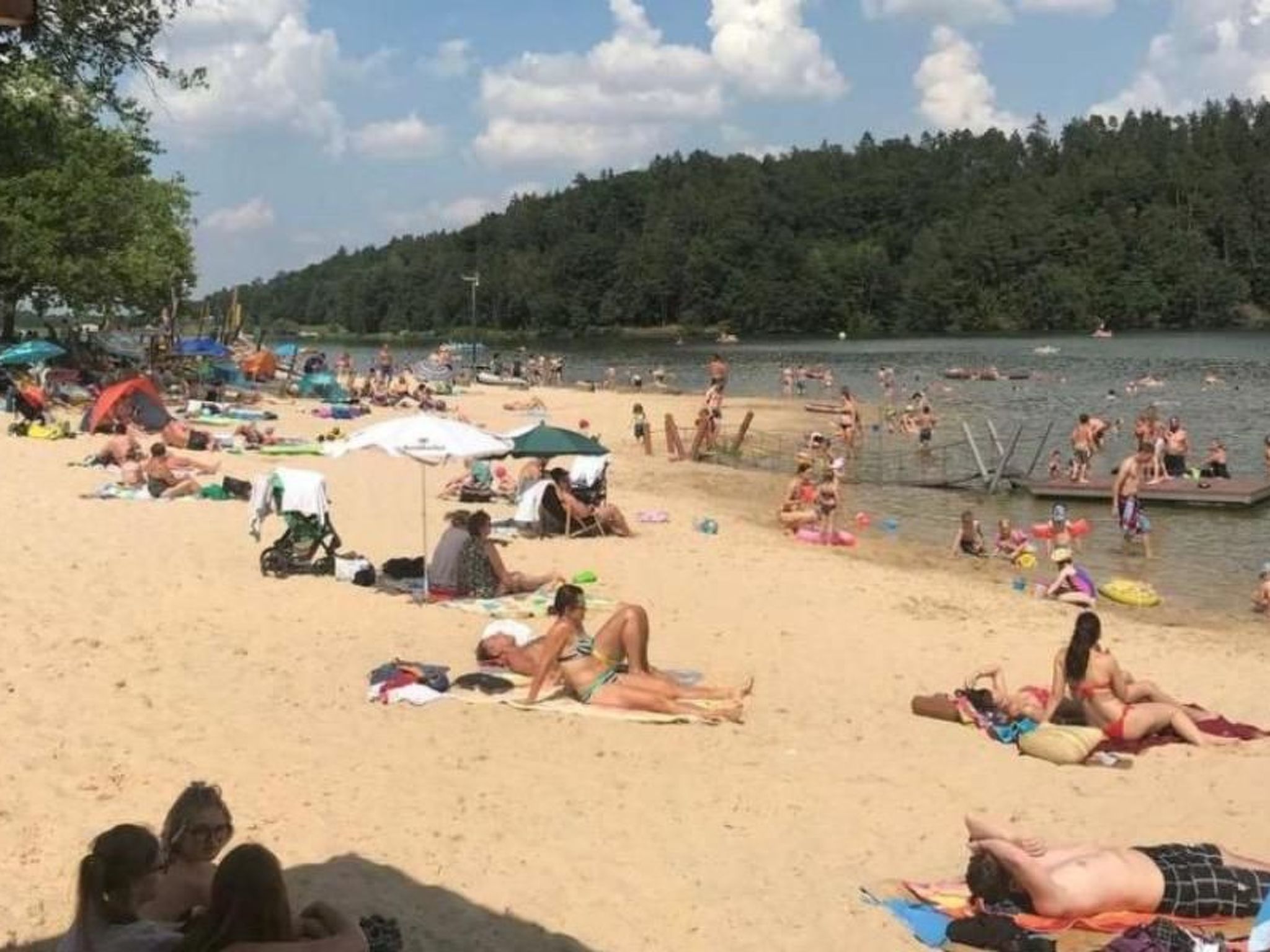 Charmantes Ferienhaus Iris im Waldecker Land-Binnen