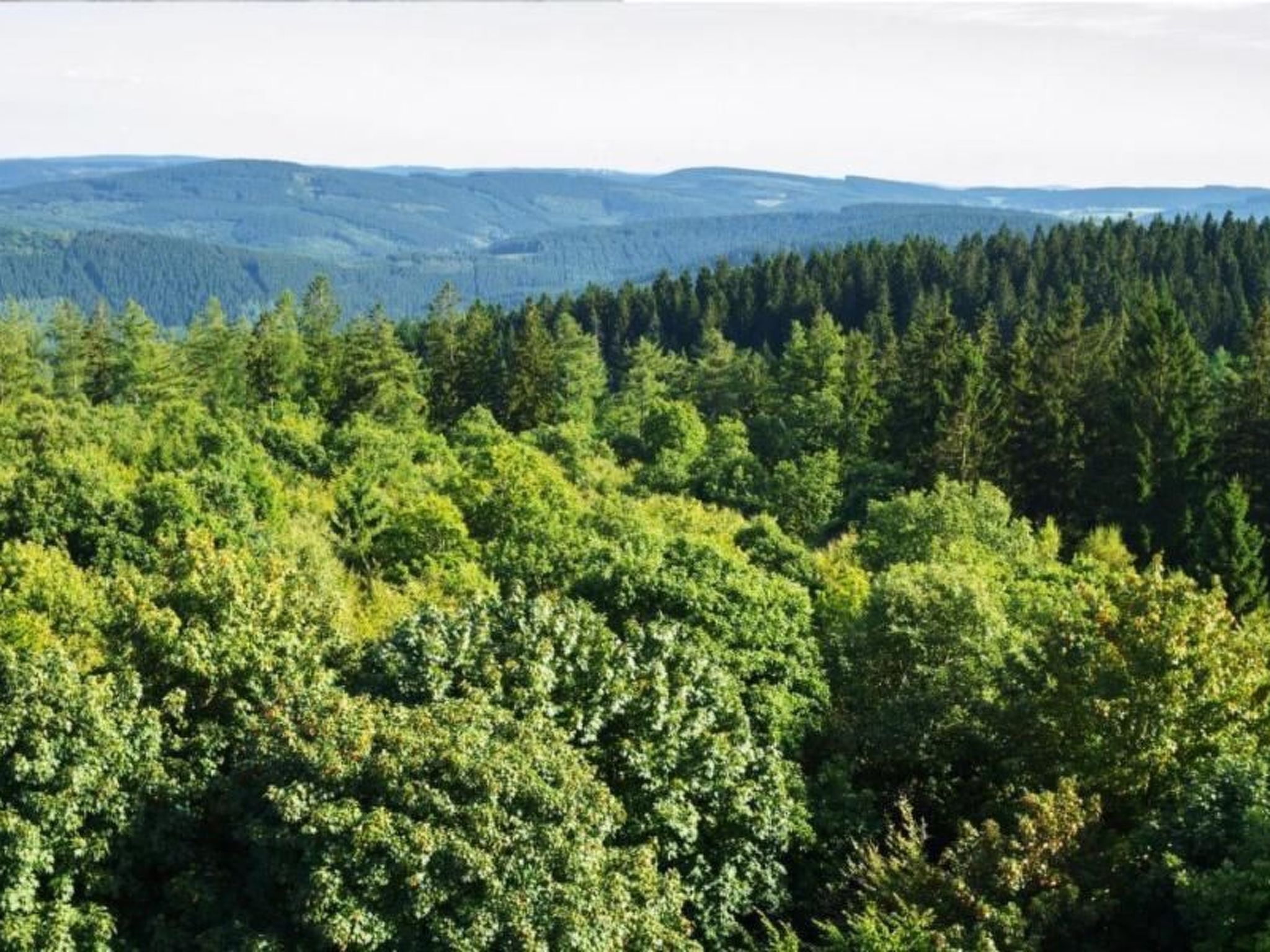 Charmantes Ferienhaus Iris im Waldecker Land-Binnen