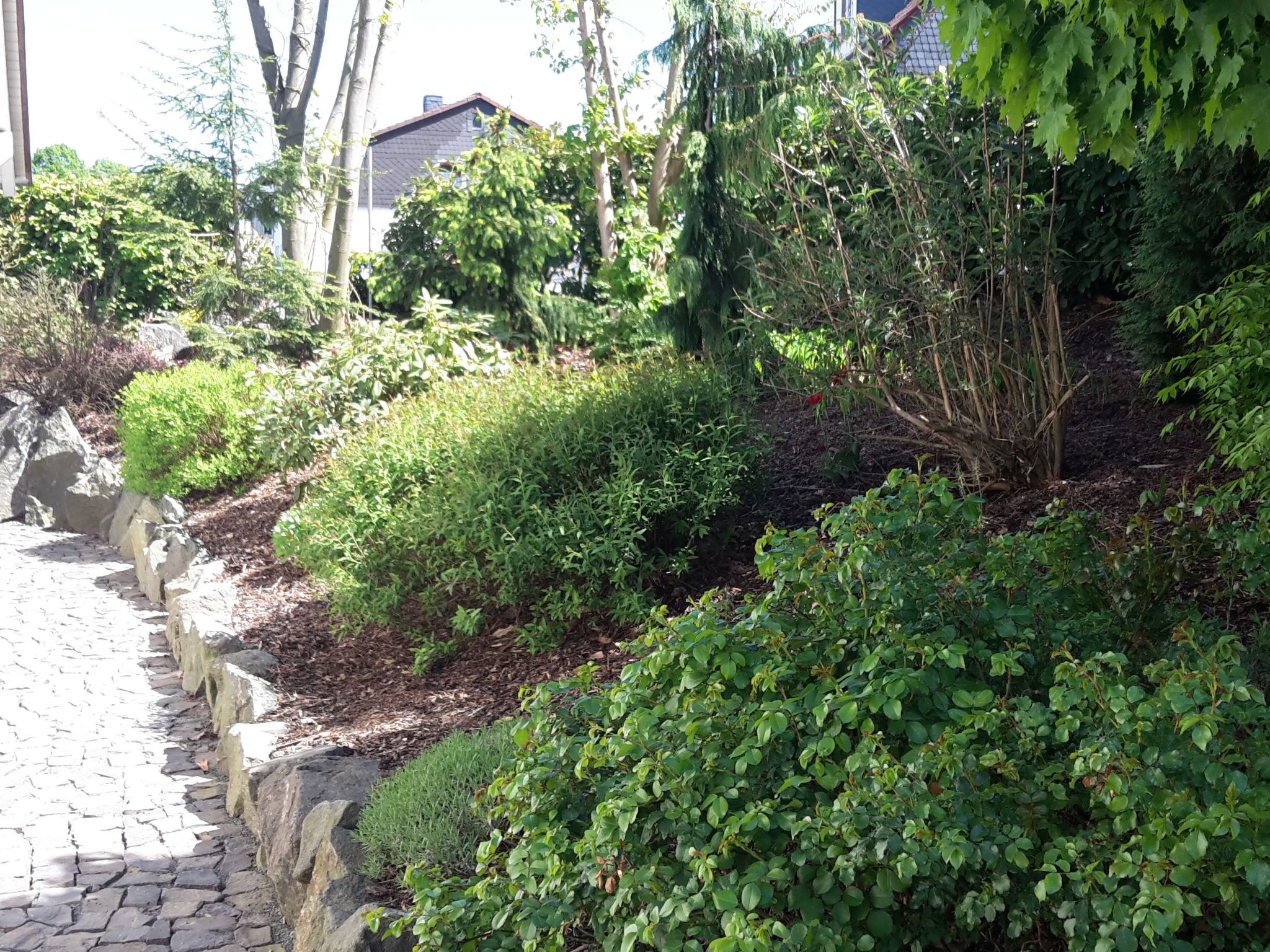 Für sieben Personen-Drinnen