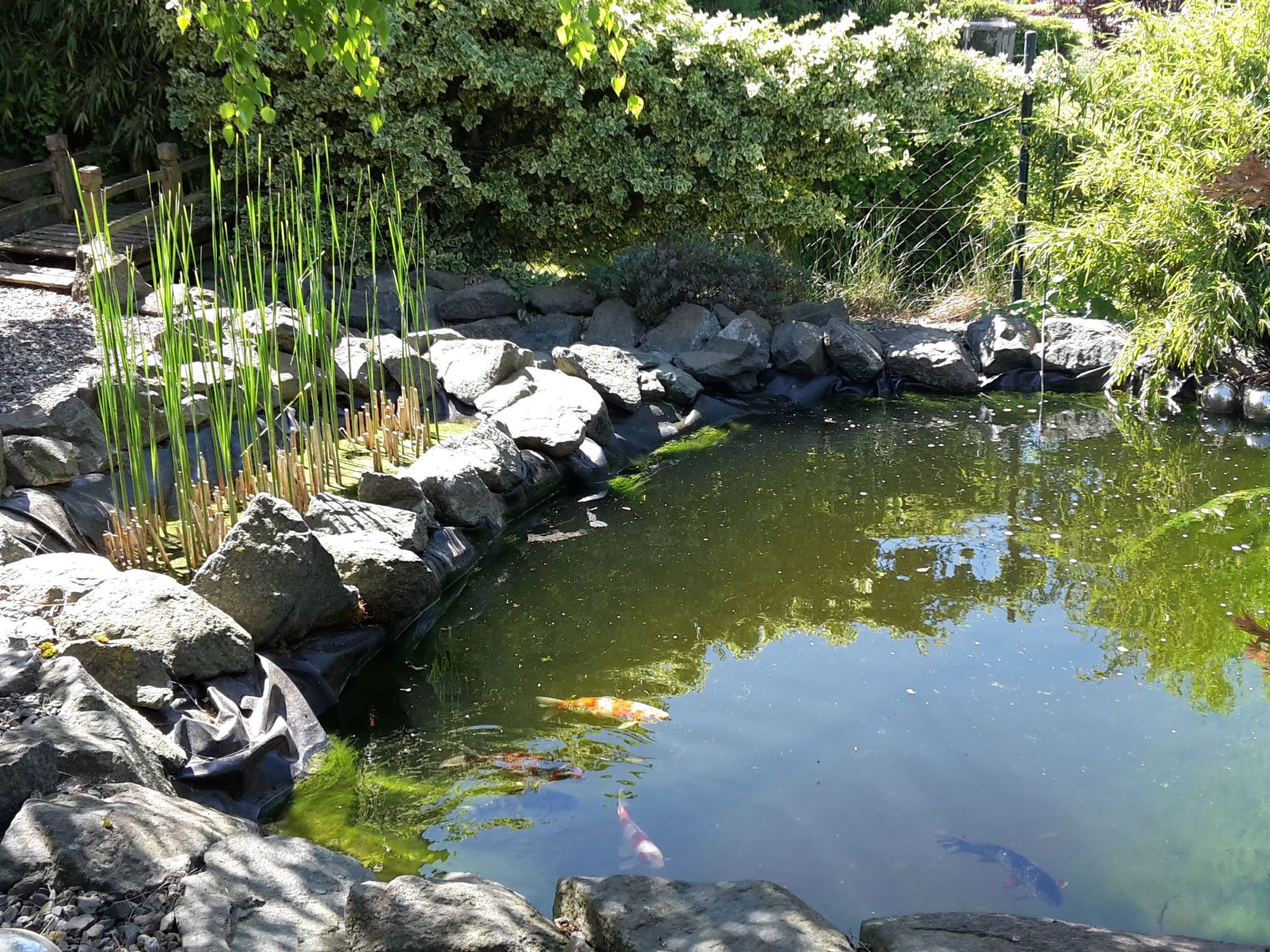 Für sieben Personen-Drinnen