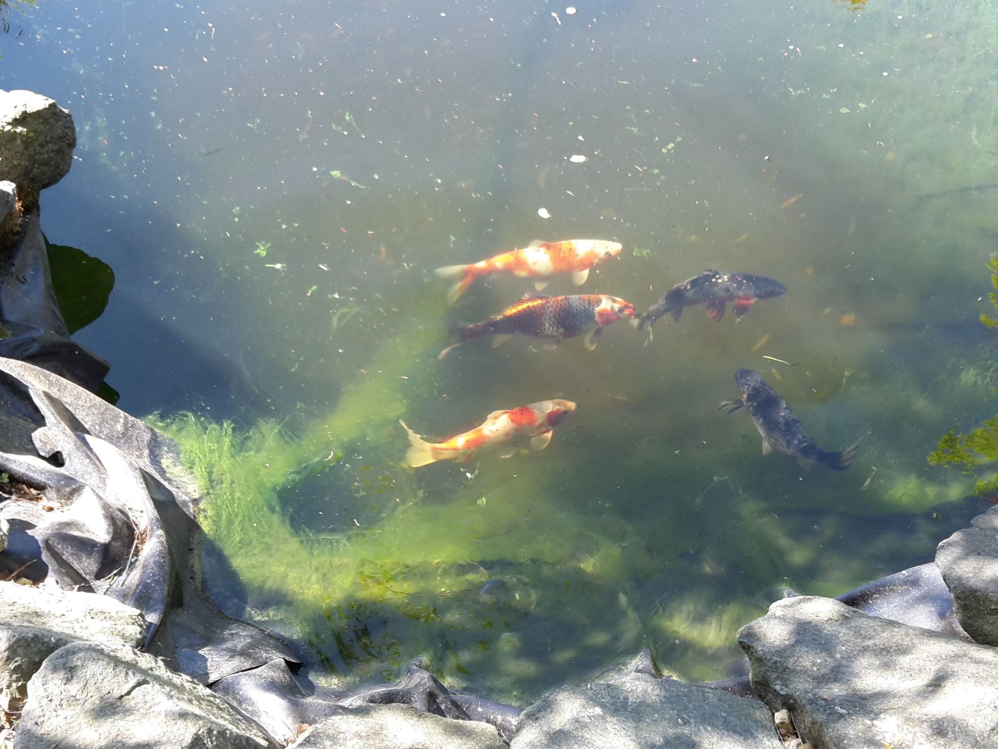 Für sieben Personen-Drinnen