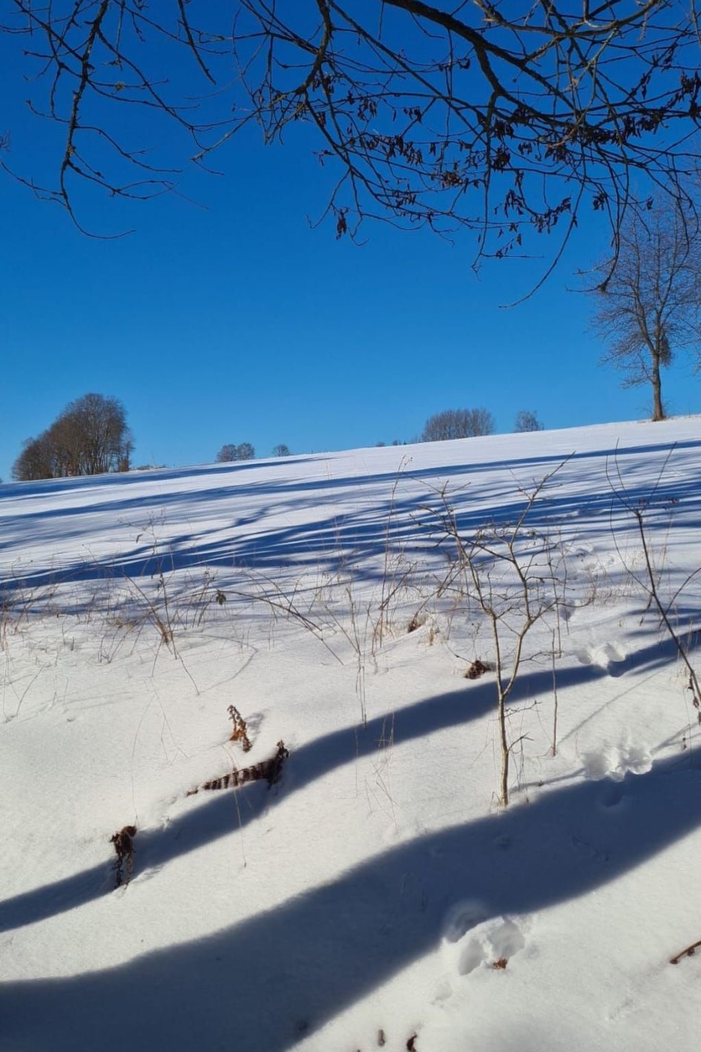 Für sieben Personen-Drinnen