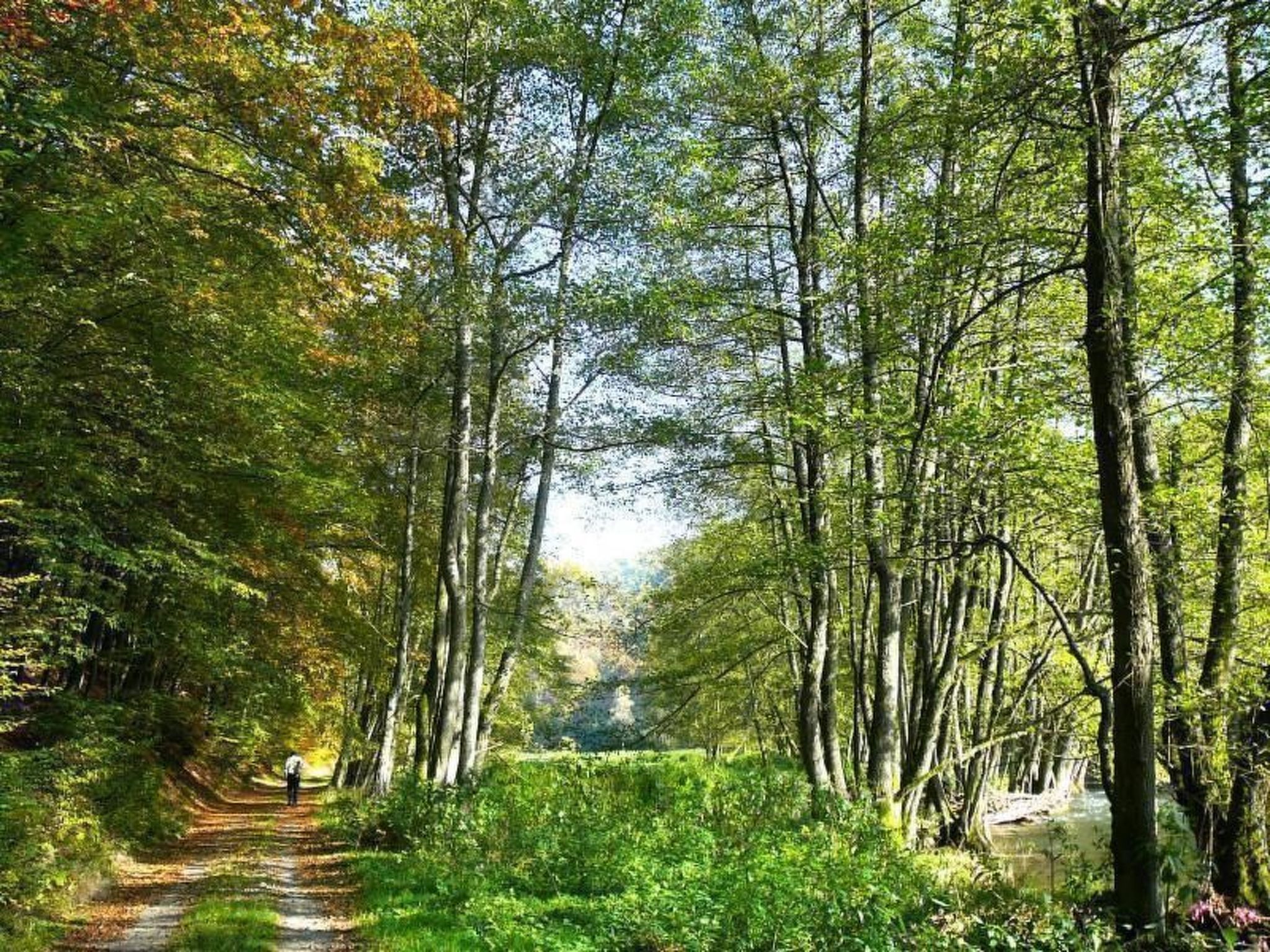 Großzügige Fewo im Künstlerhaus-Outside