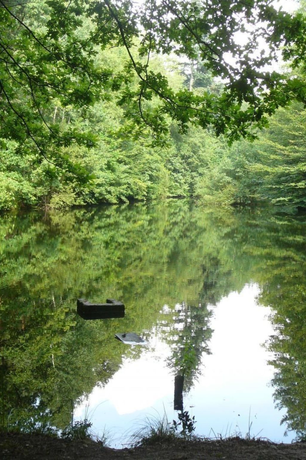 Großzügige Fewo im Künstlerhaus-Image-tags.info