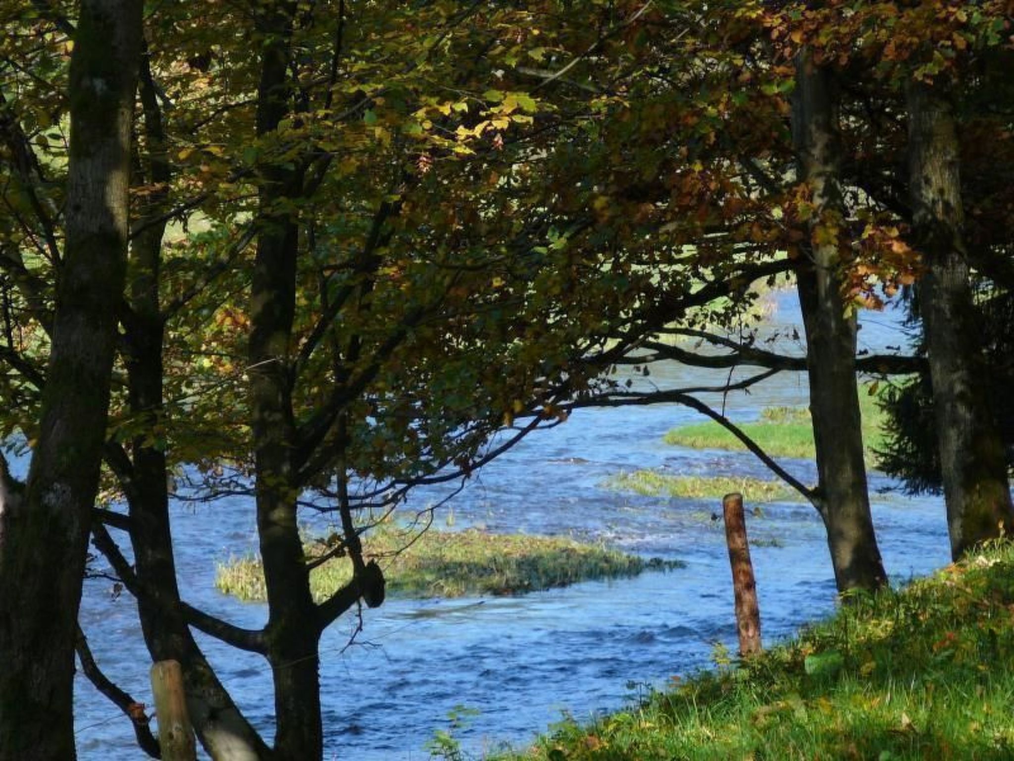 Großzügige Fewo im Künstlerhaus-Outside