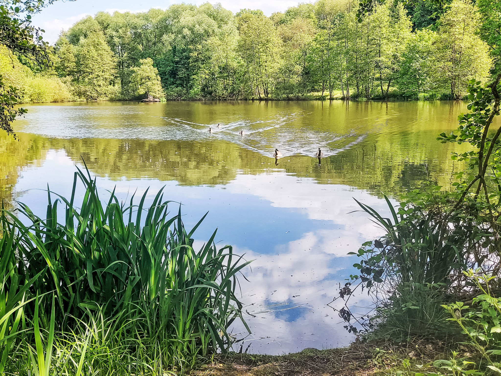 Am Sternberg 40-Buiten