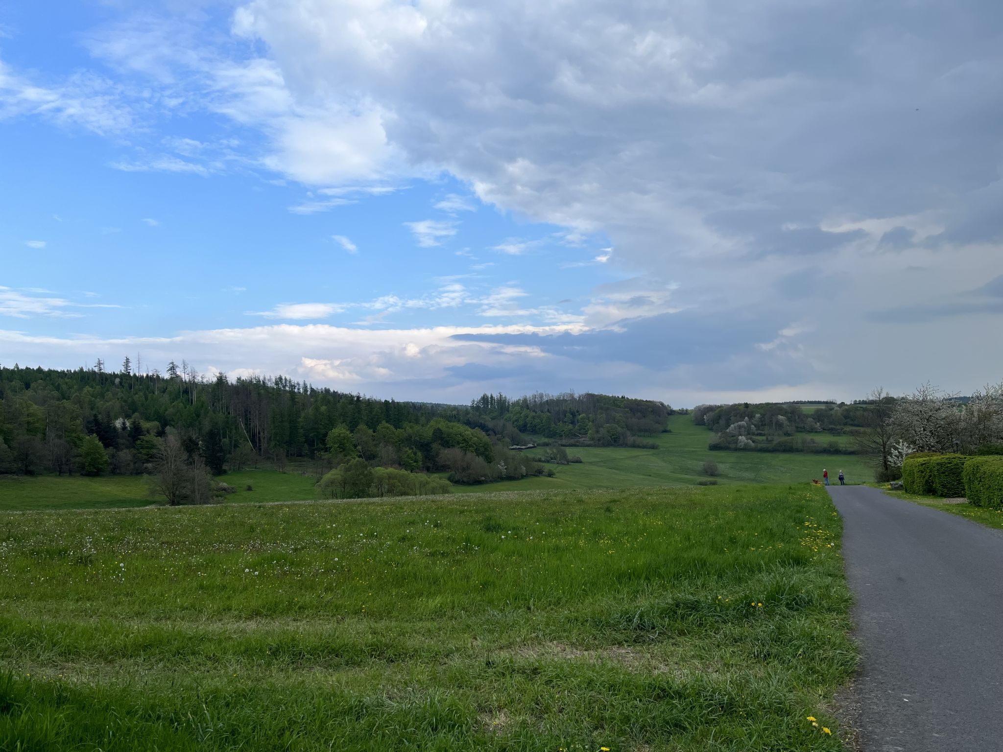 Woodys- Waldhütte-Outside