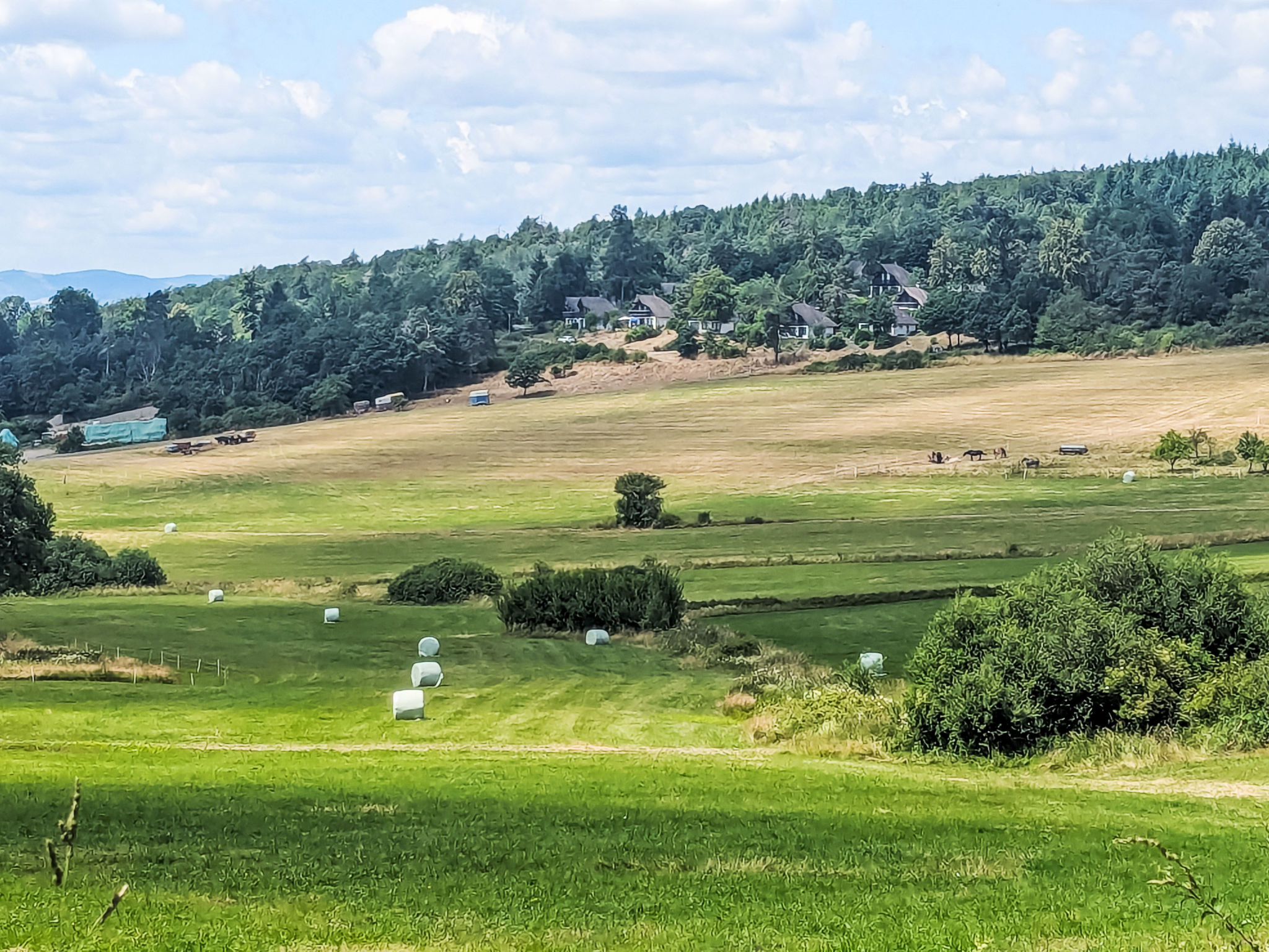 Am Sternberg 115-Dehors