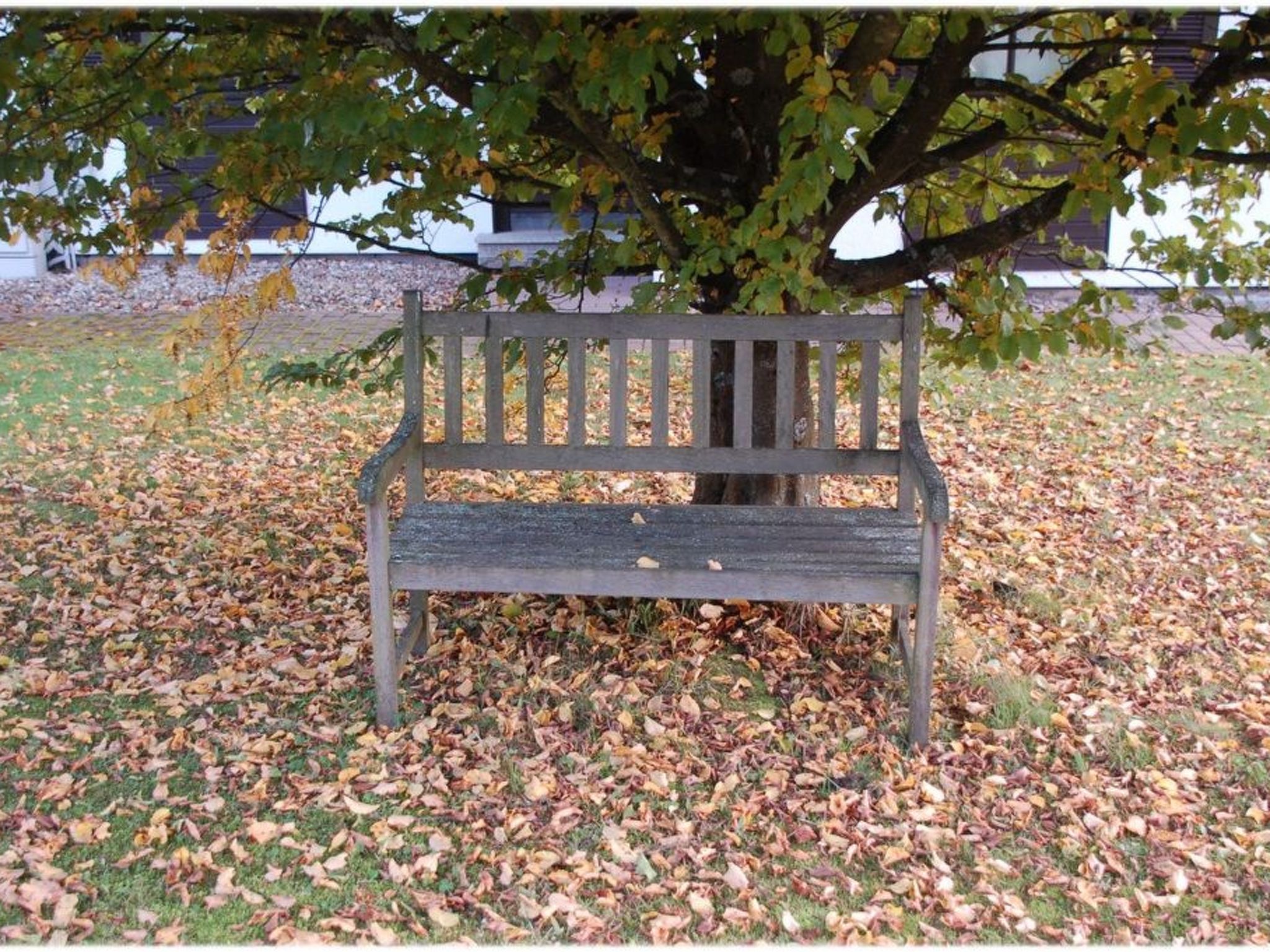 Haus Kellerwald-Image-tags.info