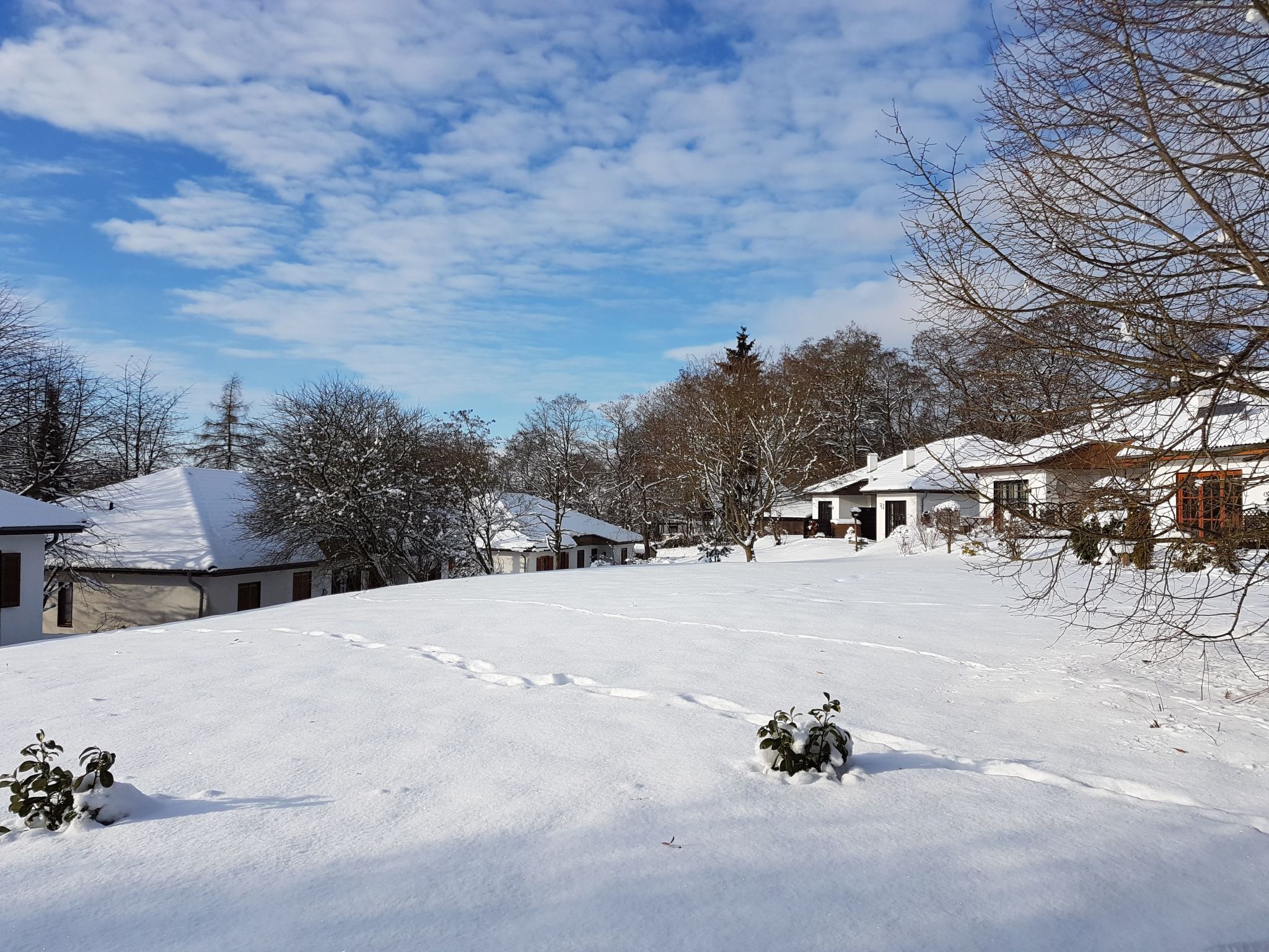 Haus Kellerwald-Image-tags.info