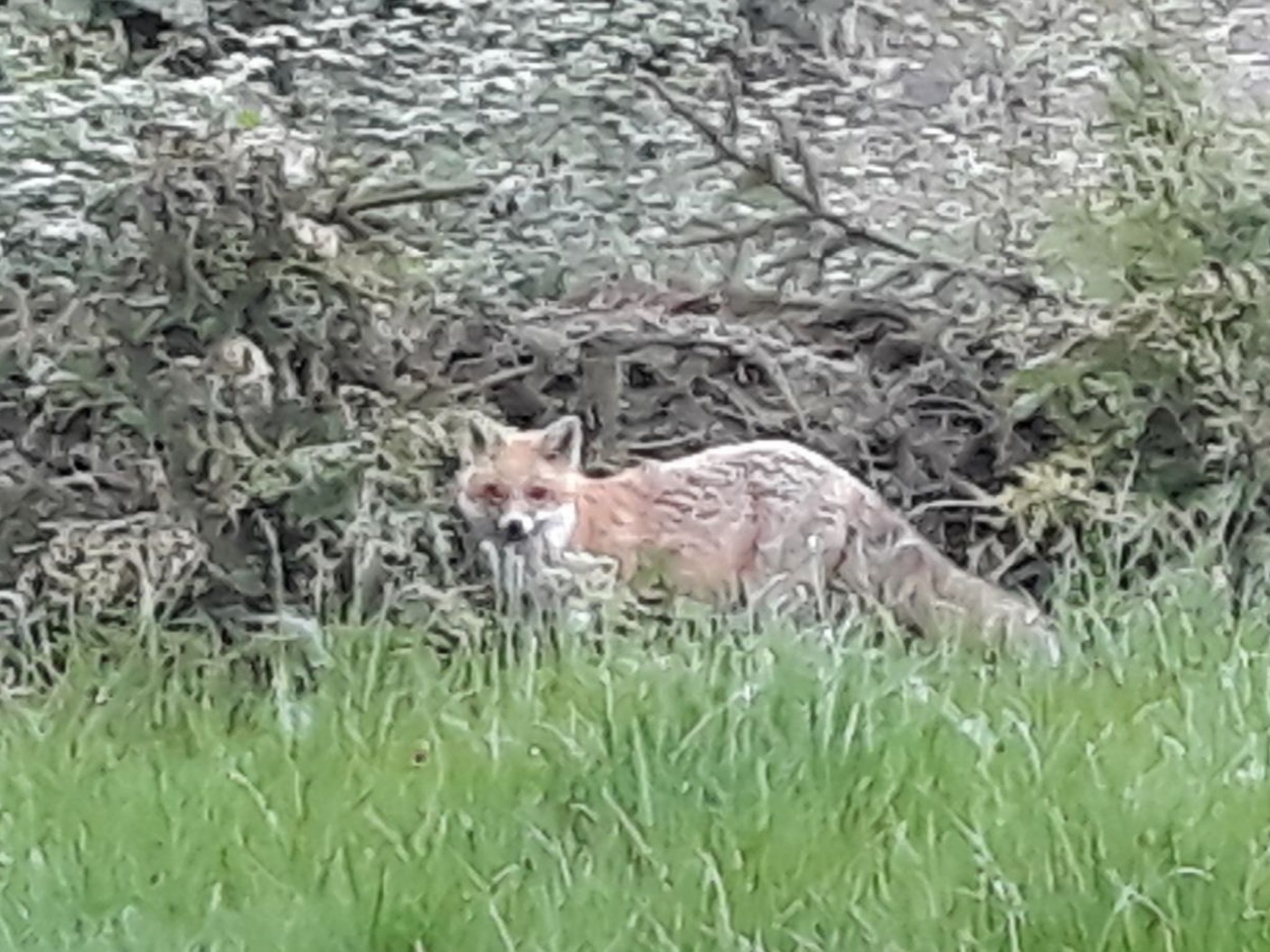 Haus Kellerwald-Image-tags.info