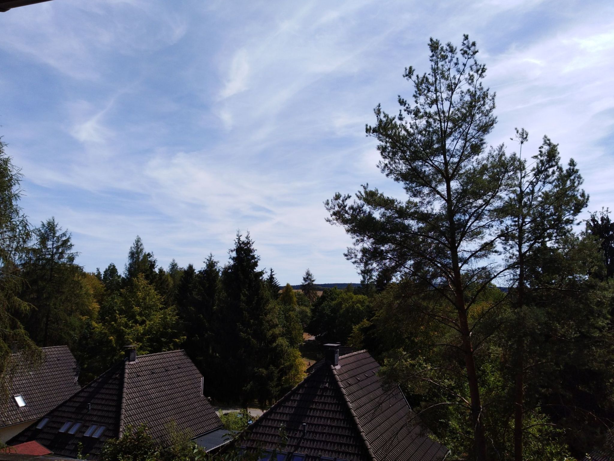 Appartement in Feriendorf Frankenau-Binnen