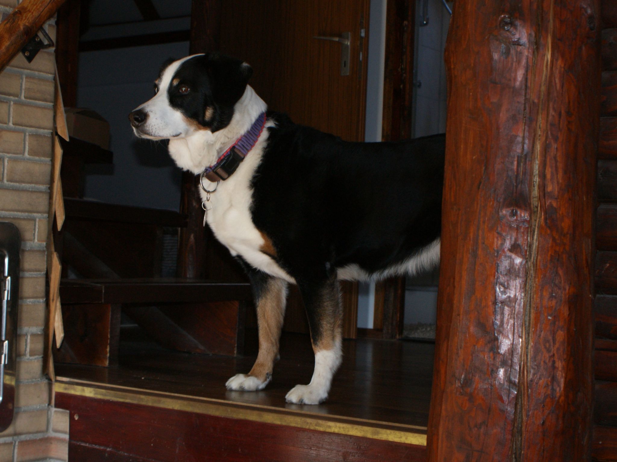 Mit Terrasse und Grill-Image-tags.info