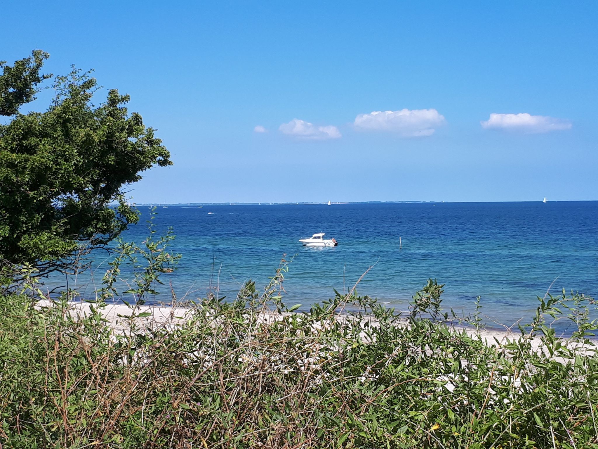 Mit Grill und Garten in Neukirchen-Binnen