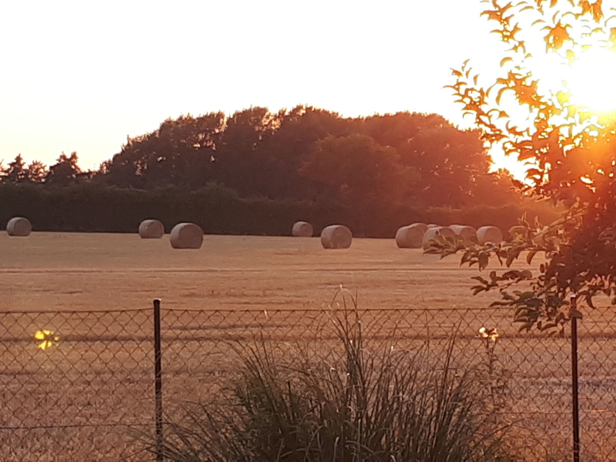 Mit Grill und Garten in Neukirchen-Binnen