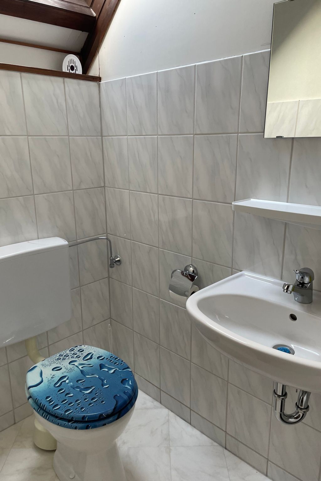 Lisa am Silbersee  Silberseeblick-Binnen