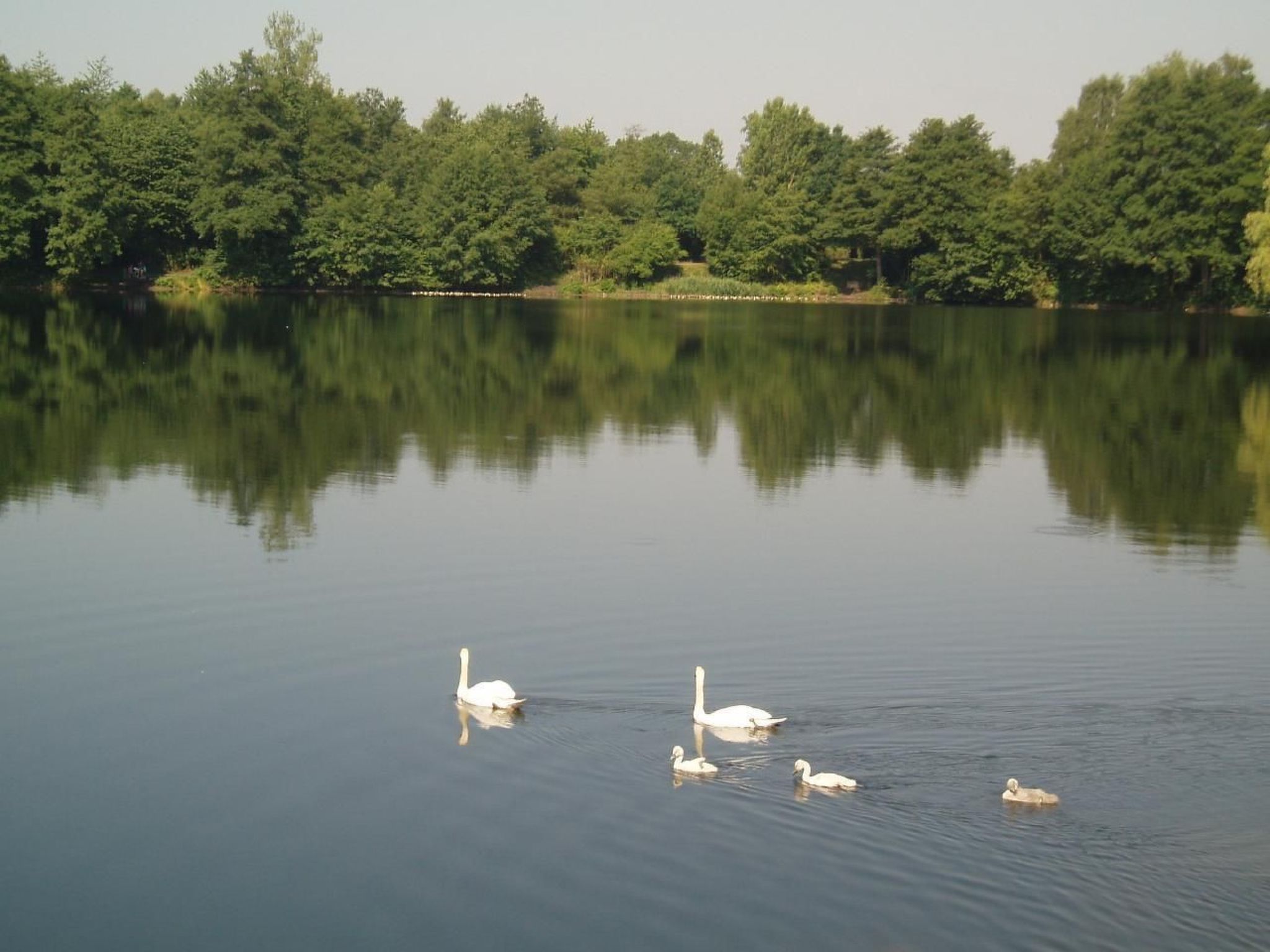 Haus Aschenputtel-Binnen