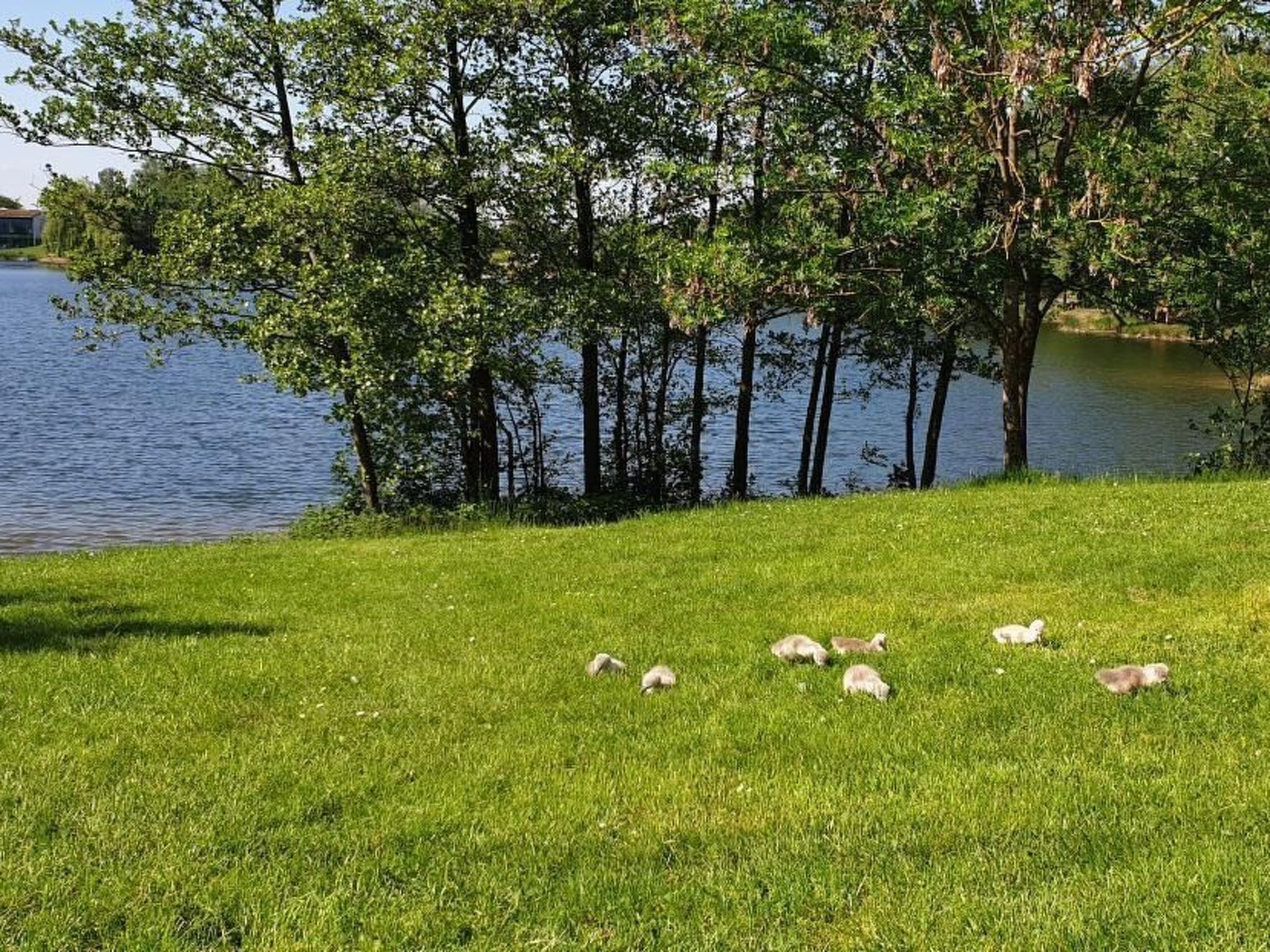 Waldhaus57 Silbersee-Binnen