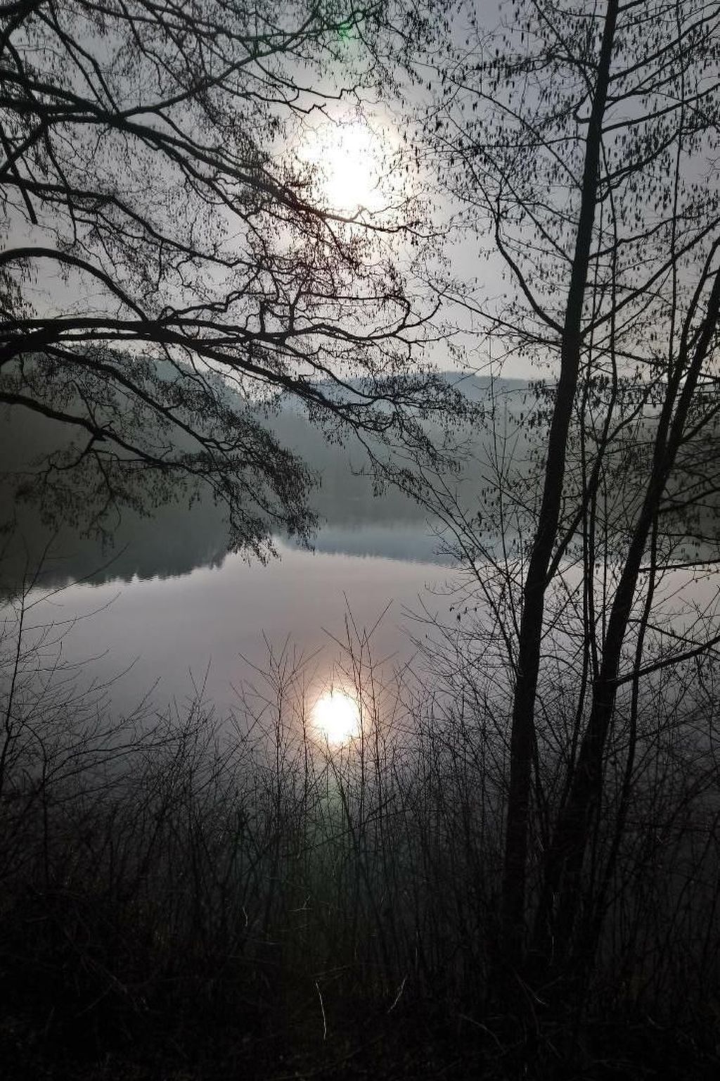 Waldhaus57 Silbersee-Binnen