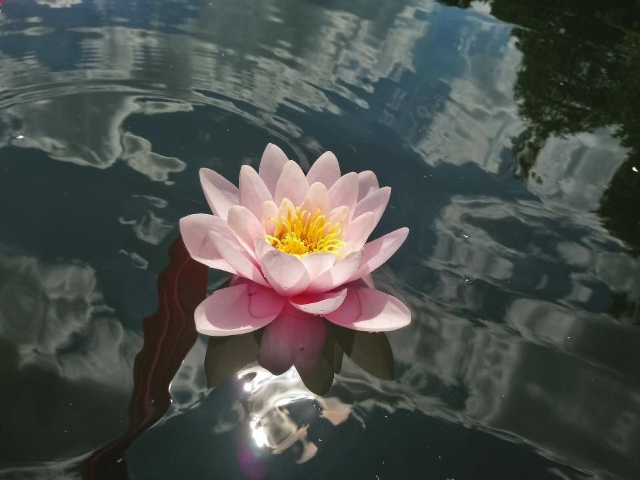 Waldhaus57 Silbersee-Binnen