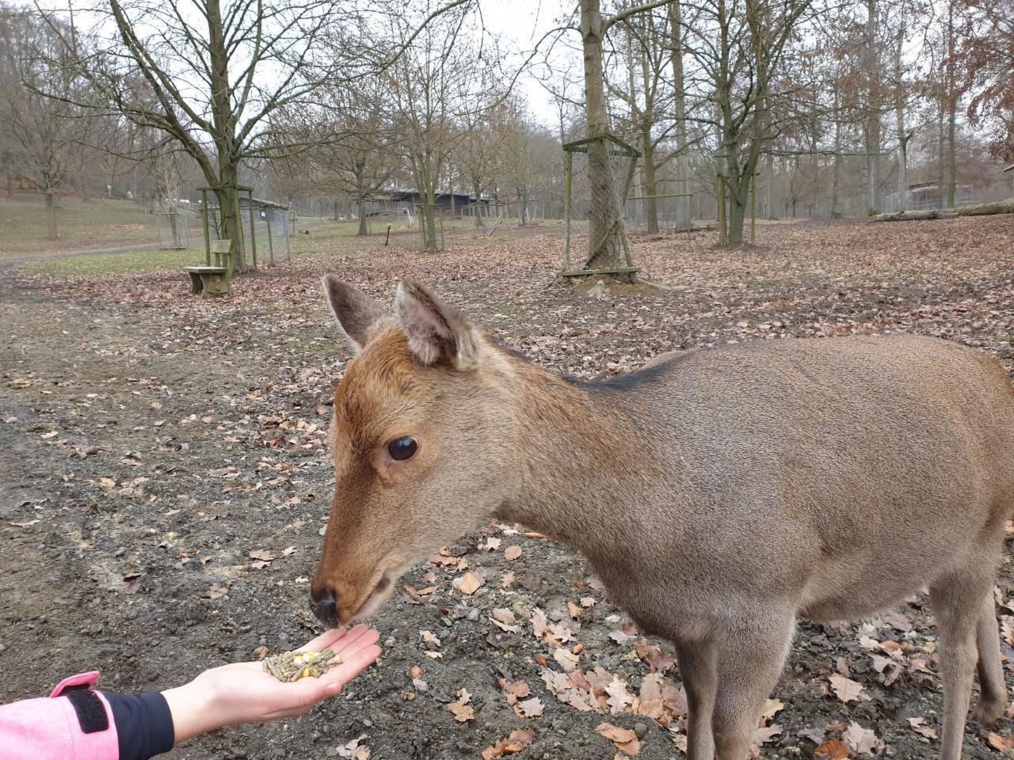 Waldhaus57 Silbersee-Binnen