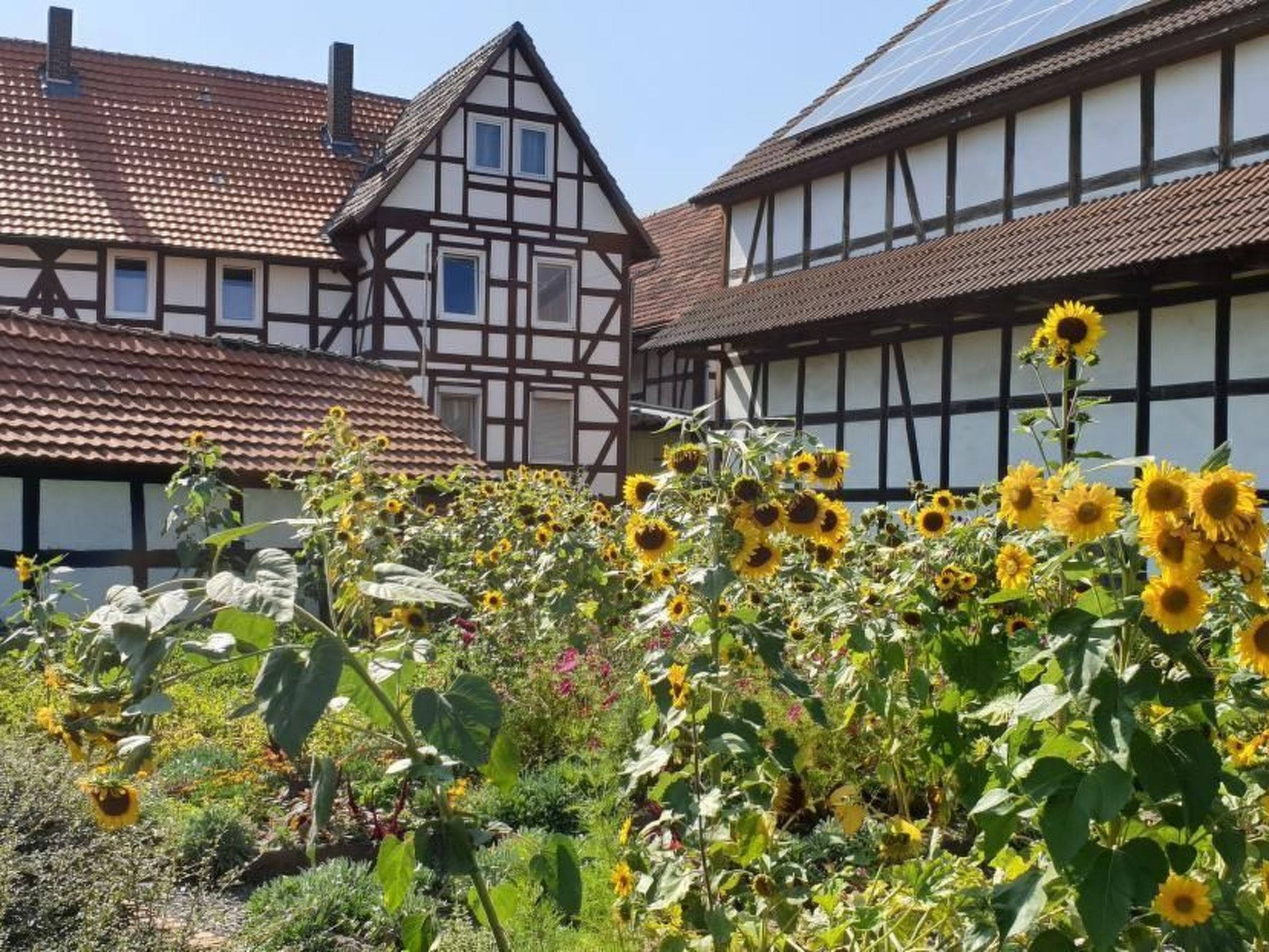 Waldhaus57 Silbersee-Binnen