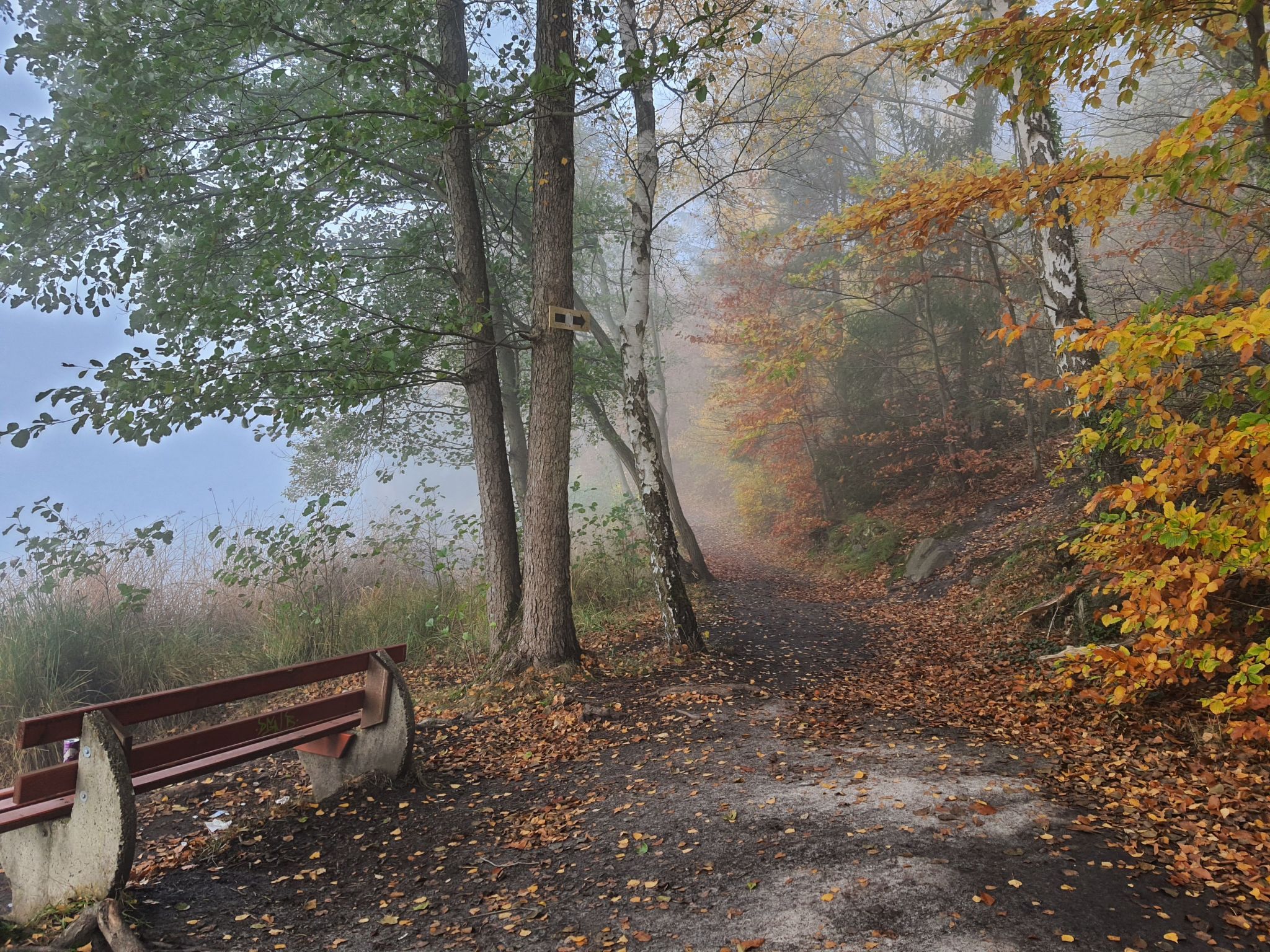 Waldhaus57 Silbersee-Binnen