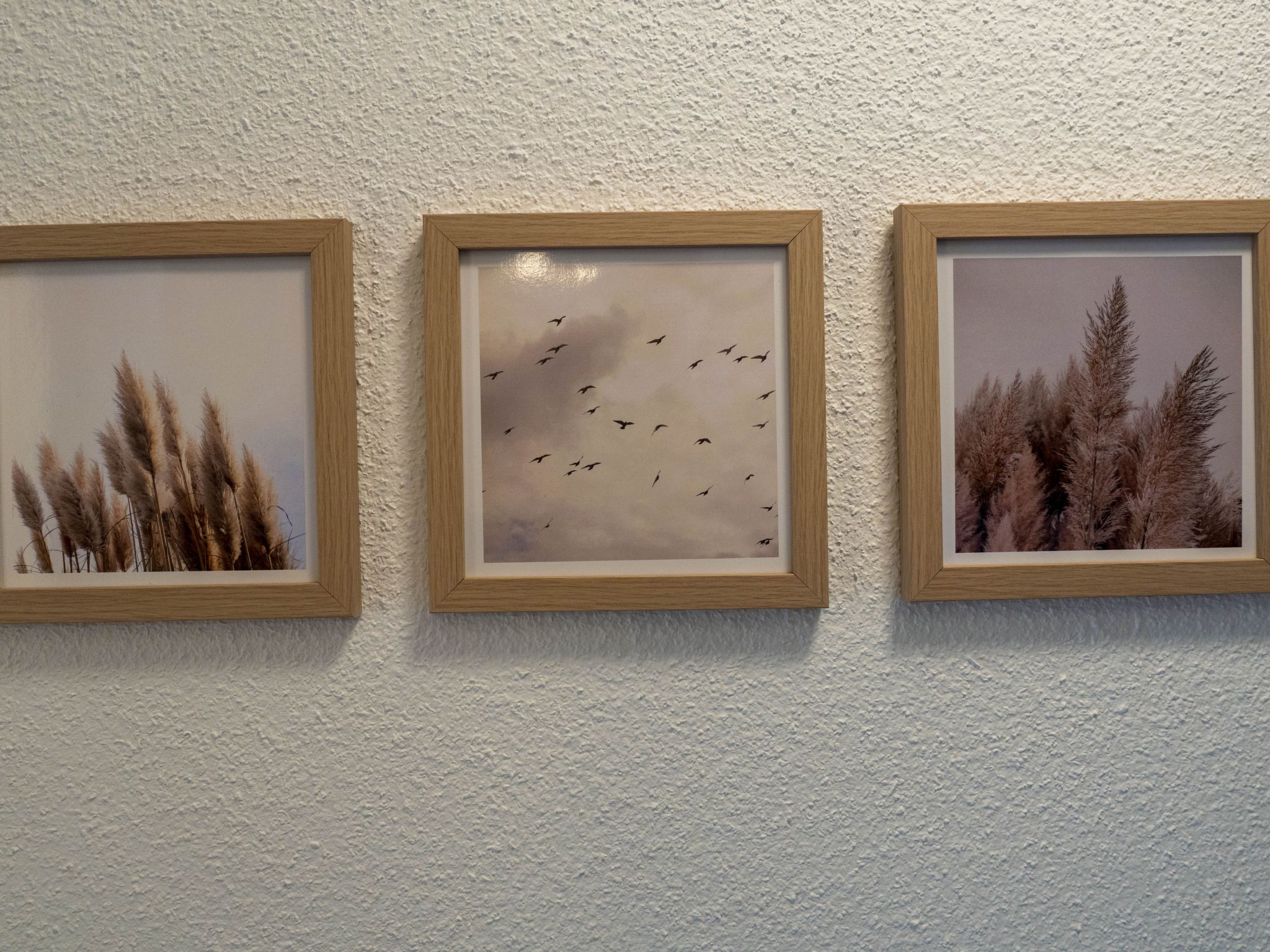 Aurora Lodge-Image-tags.info