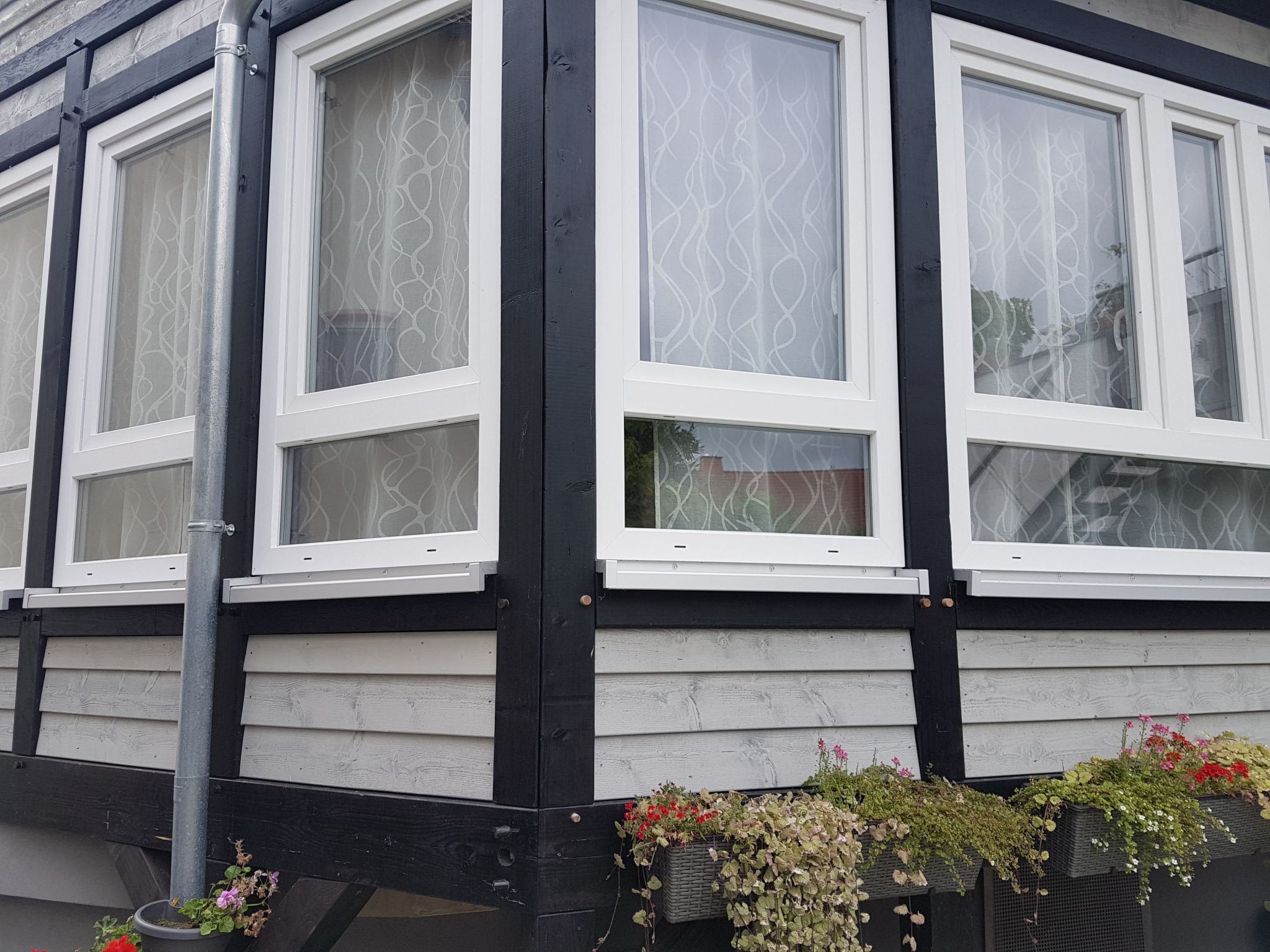 Rose-Image-tags.info