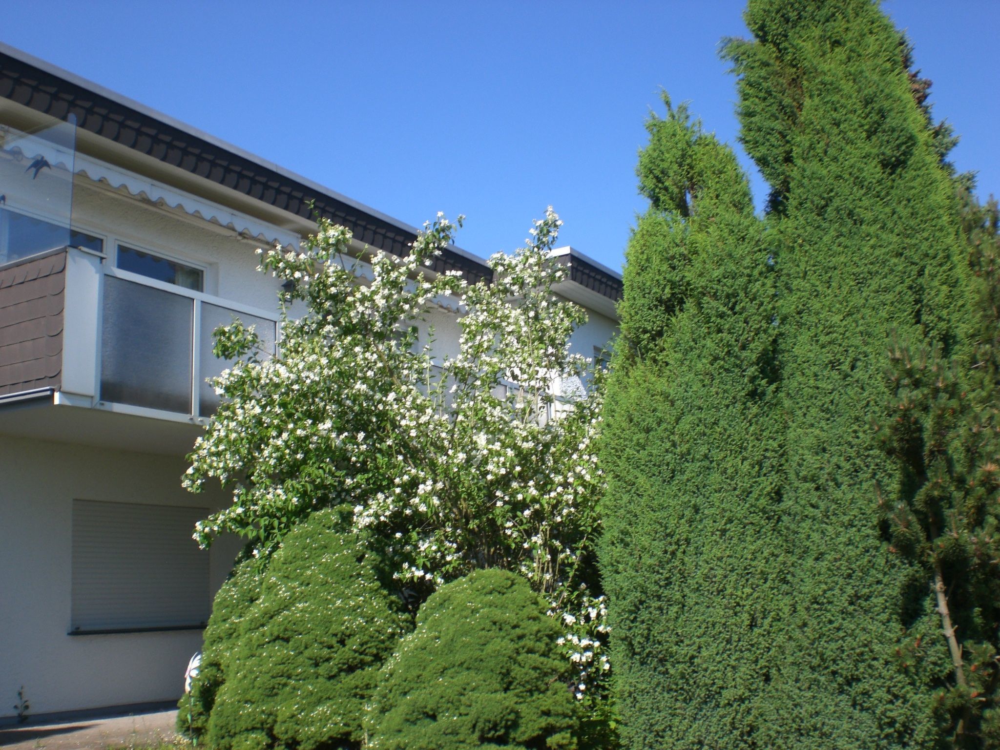 Ambiente in Homberg ot Welferode-Binnen