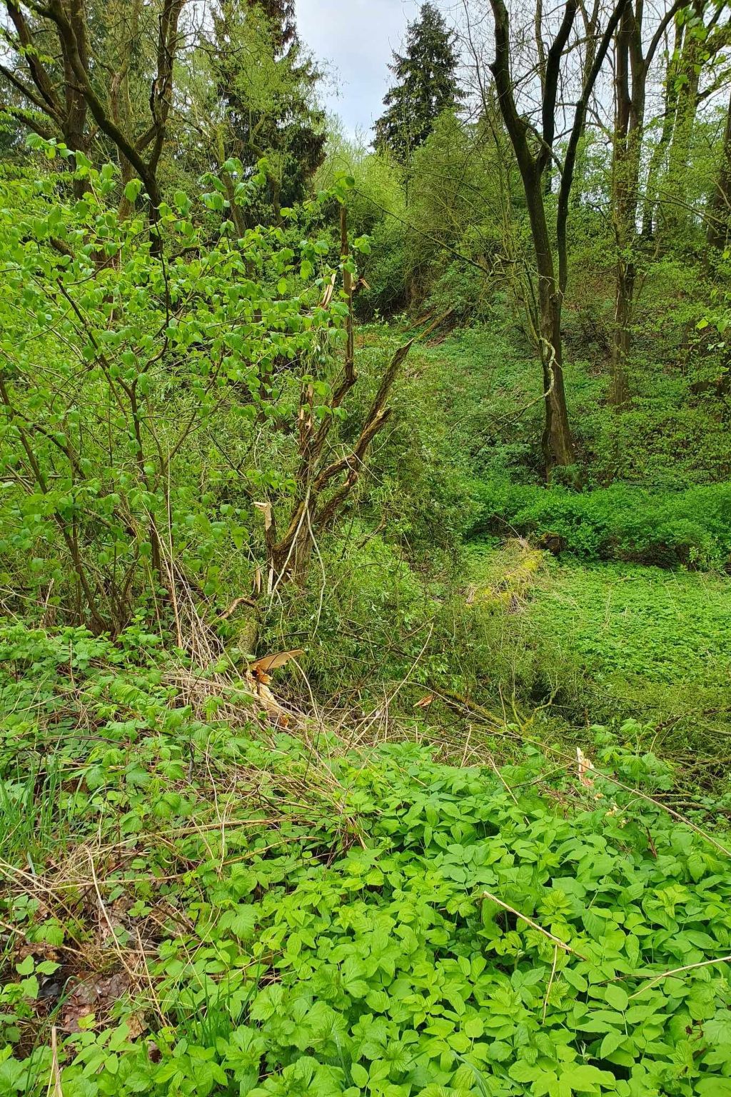 Apartment Gansäcker-Binnen
