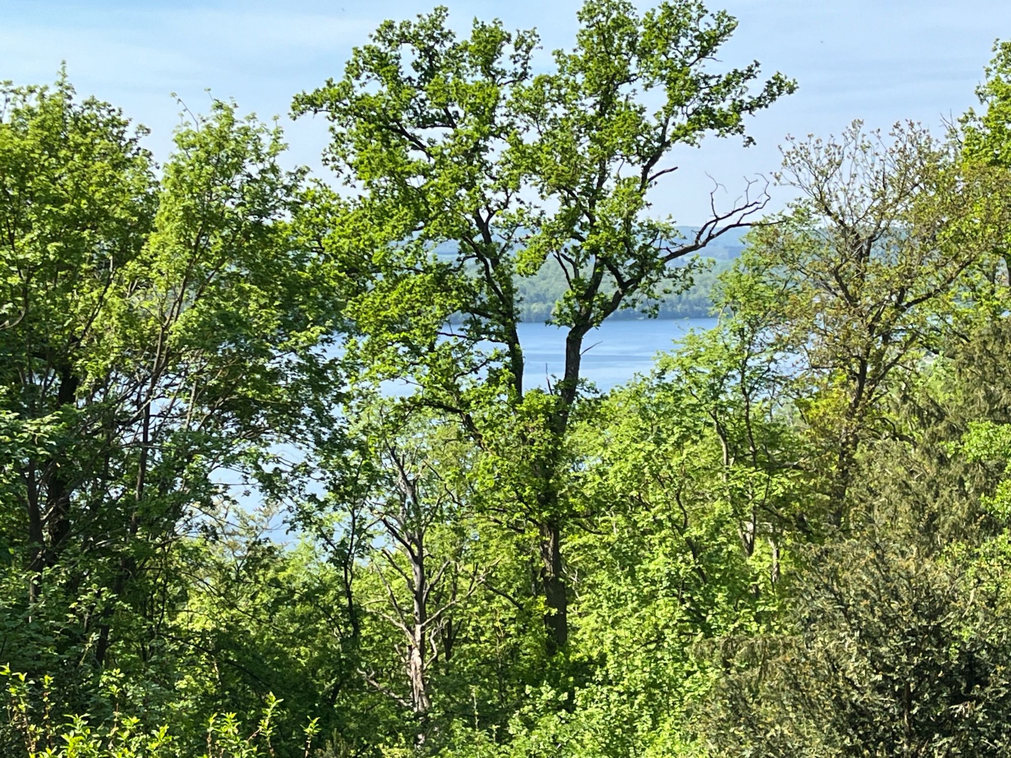 Schlossblick mit Teilseeblick-Drinnen
