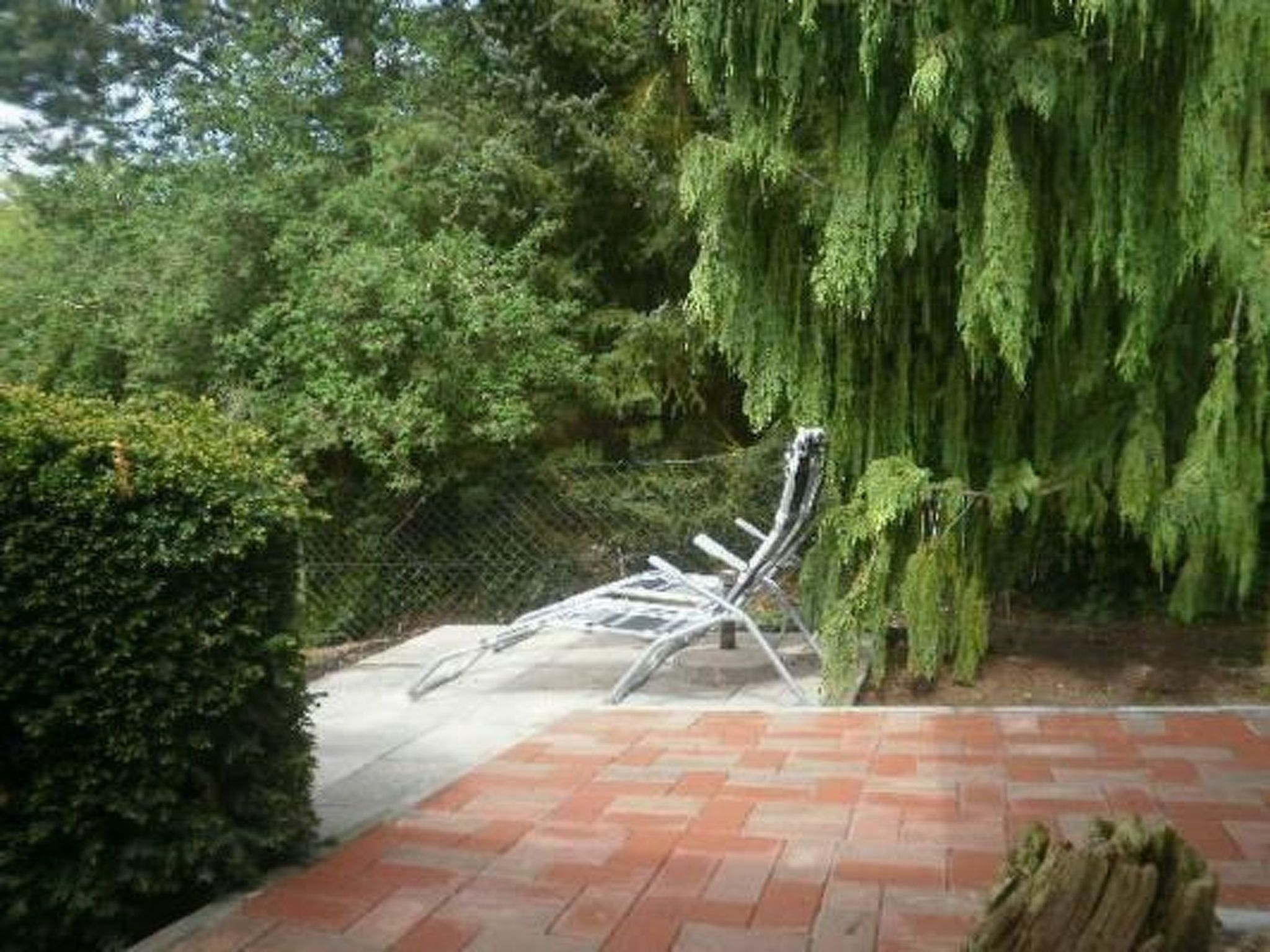 Schlossblick mit Teilseeblick-Drinnen