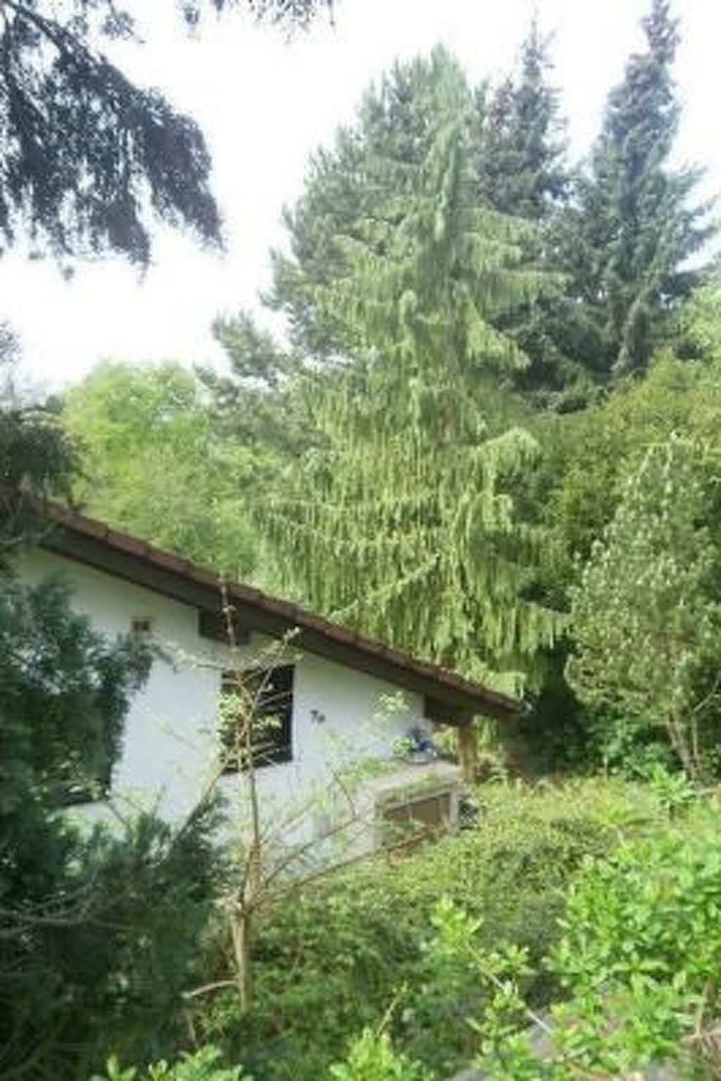 Schlossblick mit Teilseeblick-Drinnen