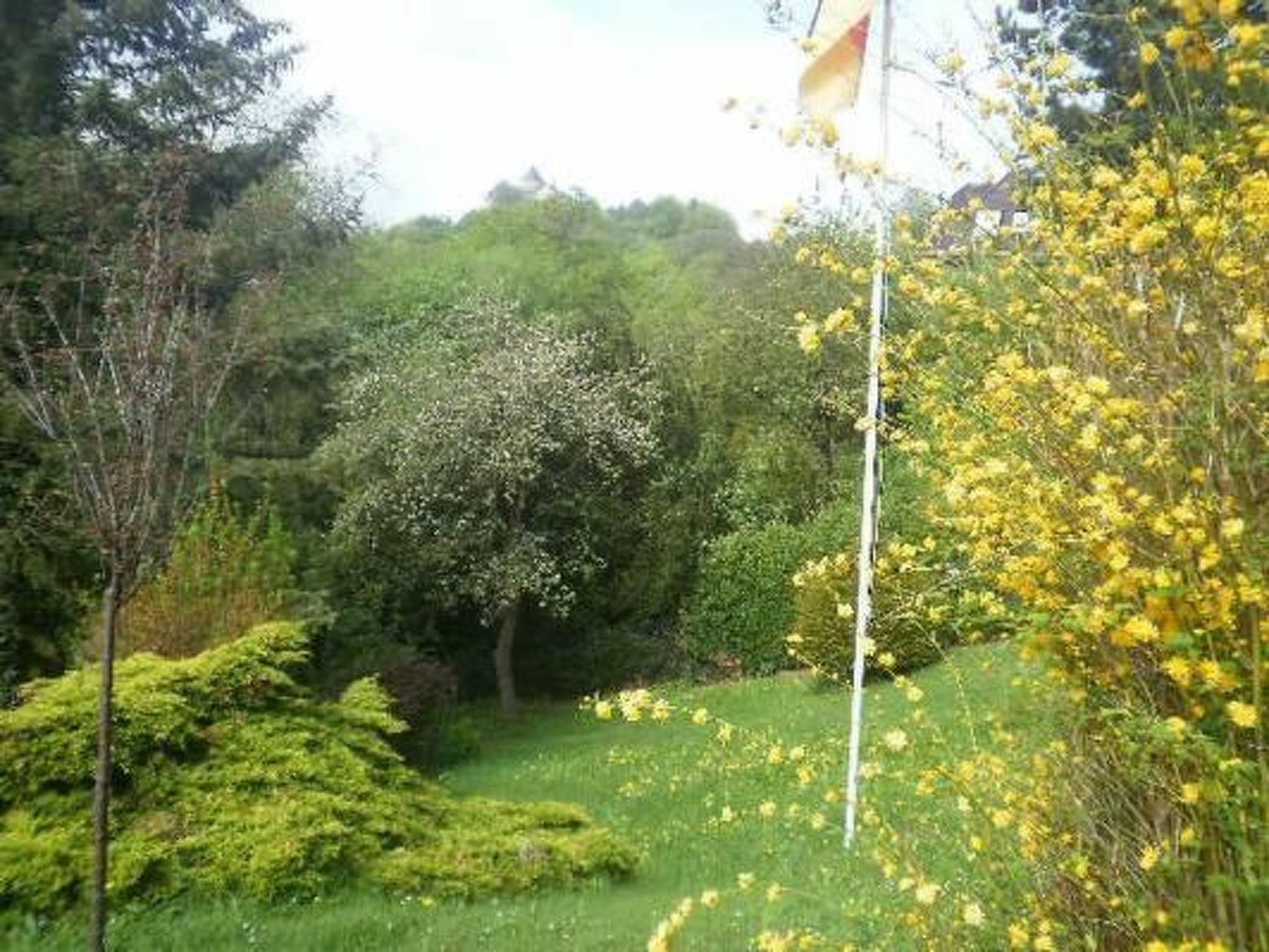 Schlossblick mit Teilseeblick-Drinnen
