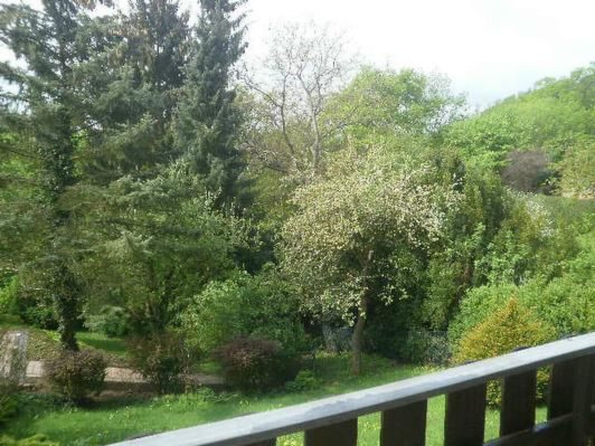 Schlossblick mit Teilseeblick-Drinnen