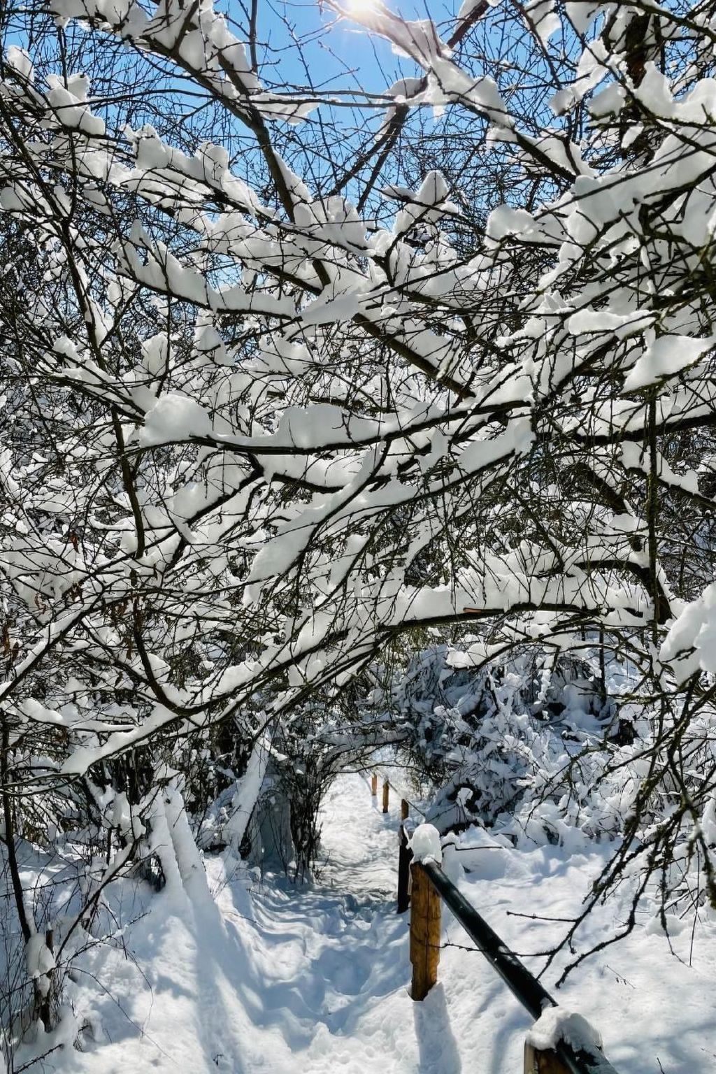 In Nieder-Werbe mit Großer Terrasse-Image-tags.info