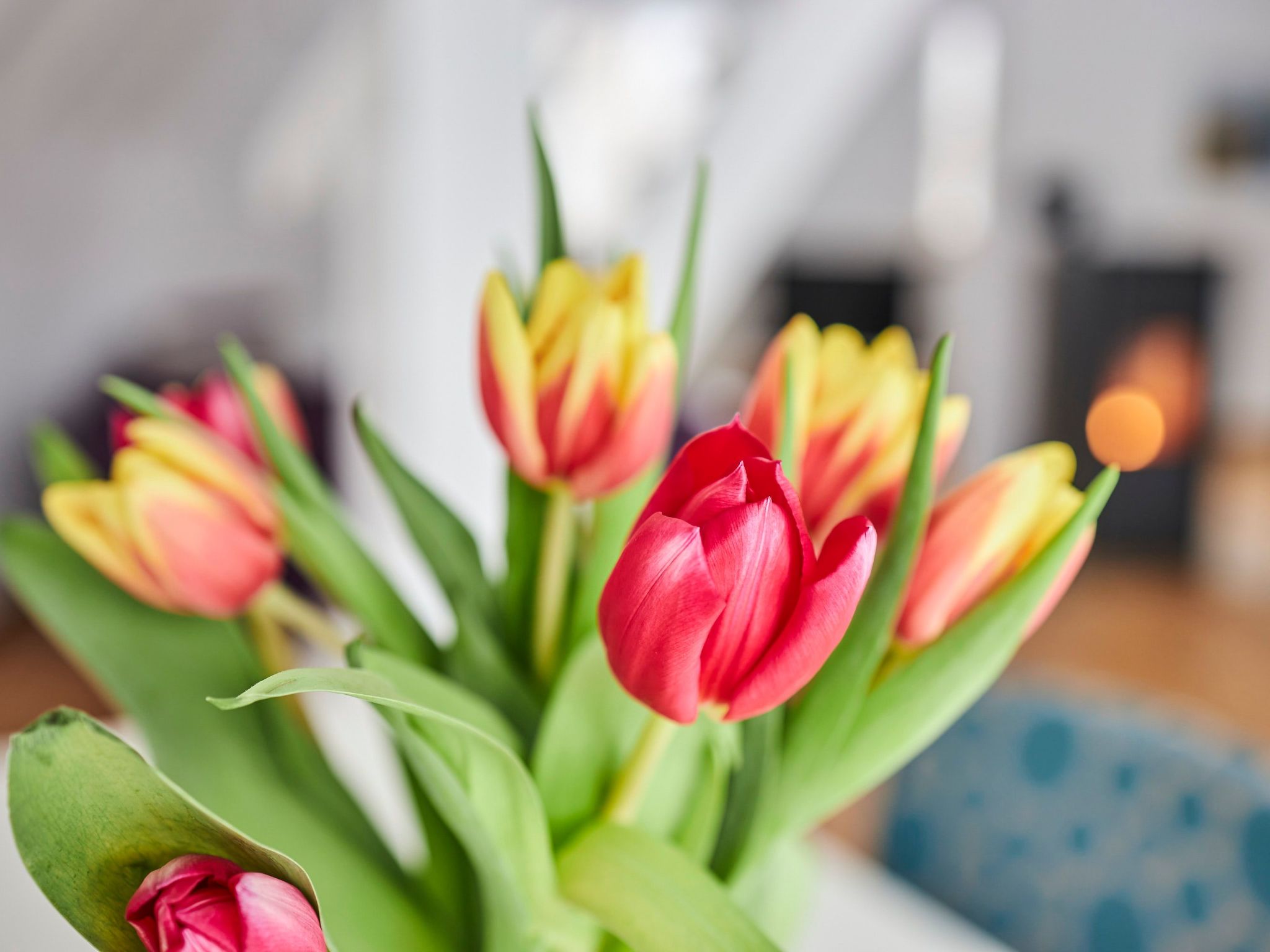 Komfortables Ferienhaus in purer Natur-Binnen