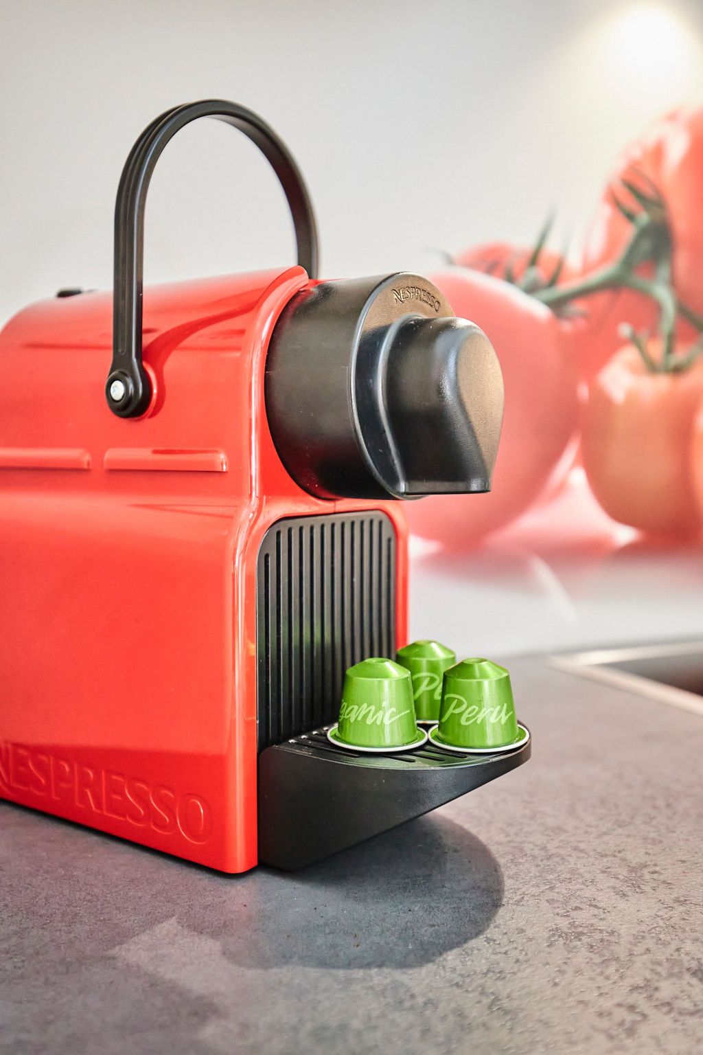 Komfortables Ferienhaus in purer Natur-Binnen